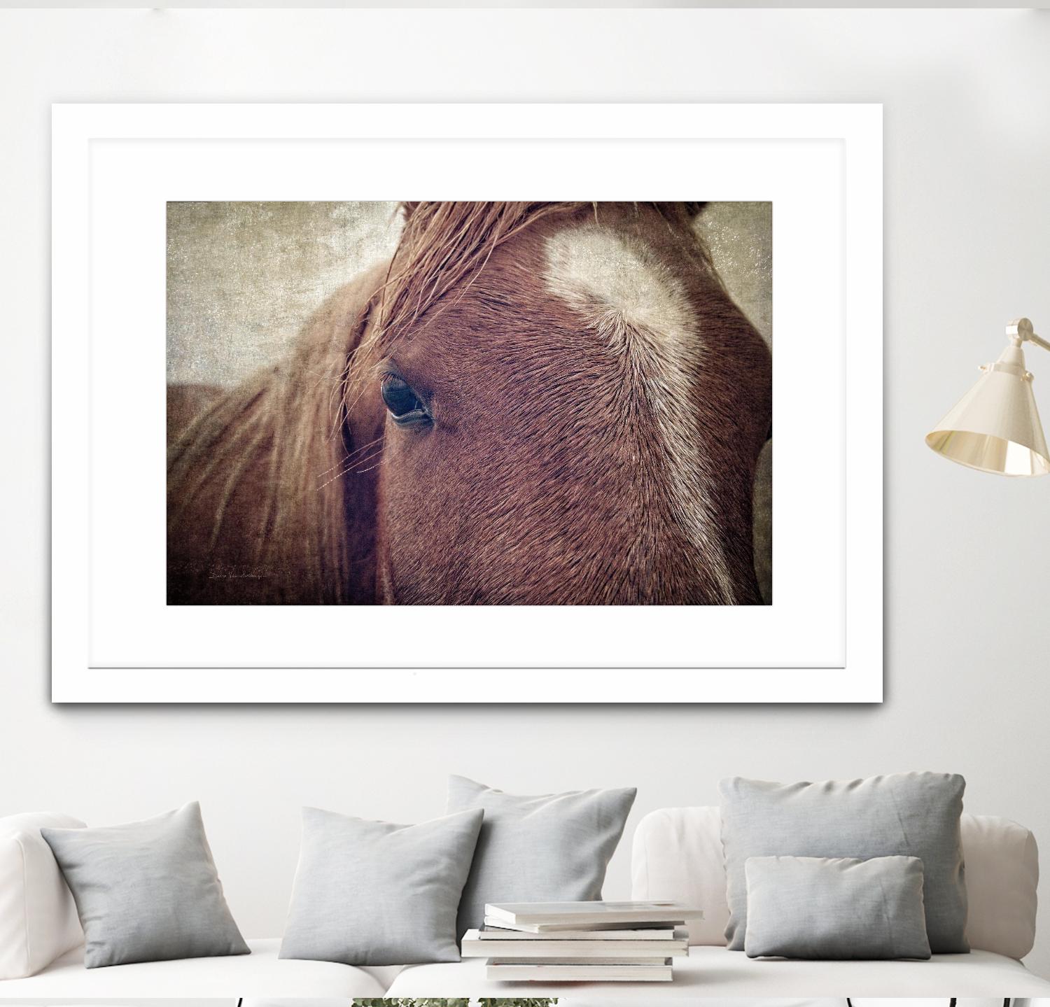 Dew Lashes by Debra Van Swearingen on GIANT ART - animals animals