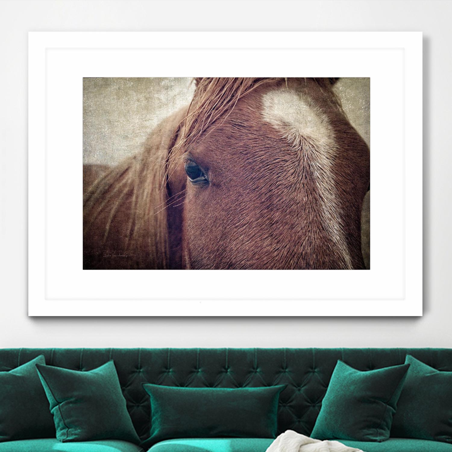 Dew Lashes by Debra Van Swearingen on GIANT ART - animals animals