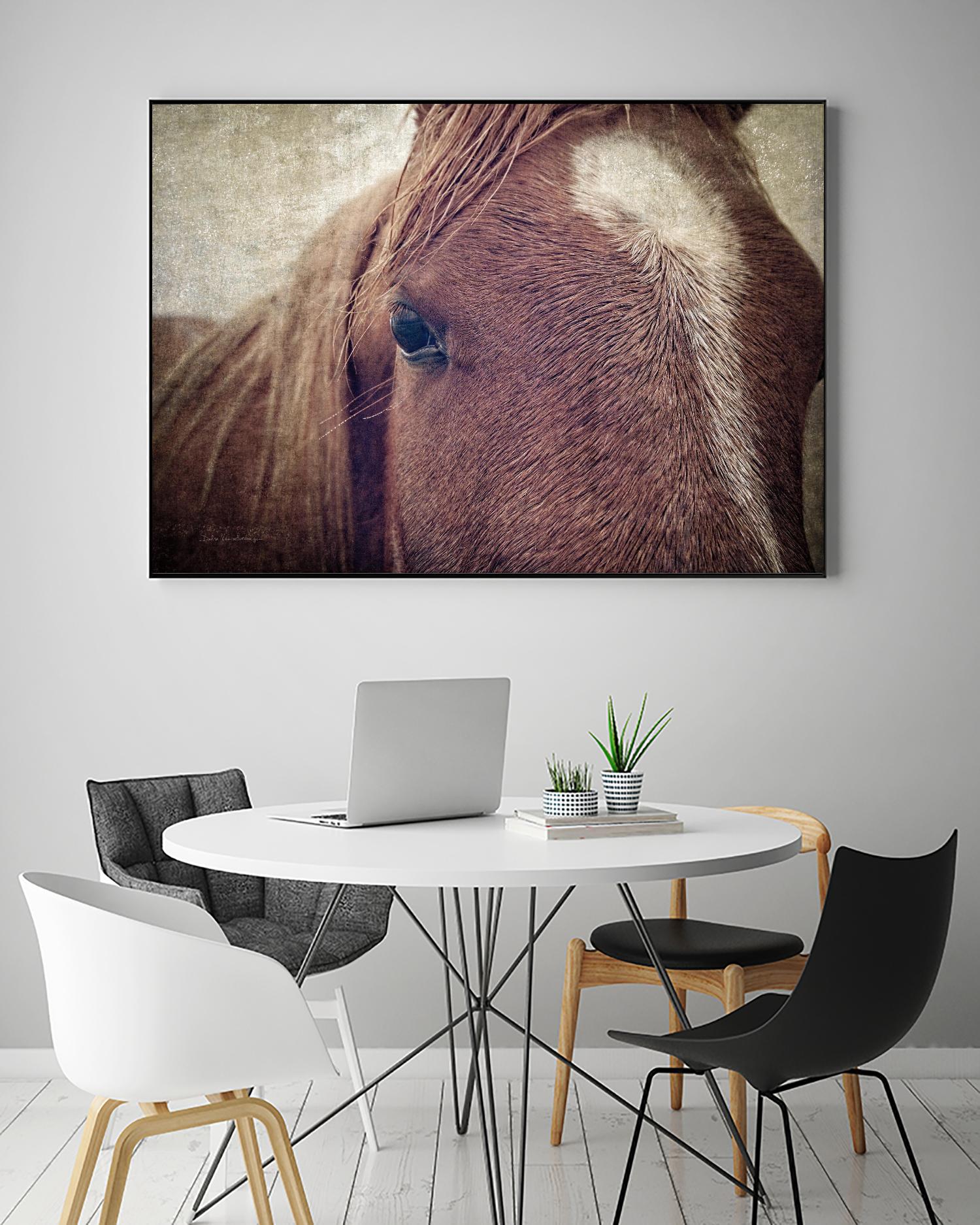 Dew Lashes by Debra Van Swearingen on GIANT ART - animals animals