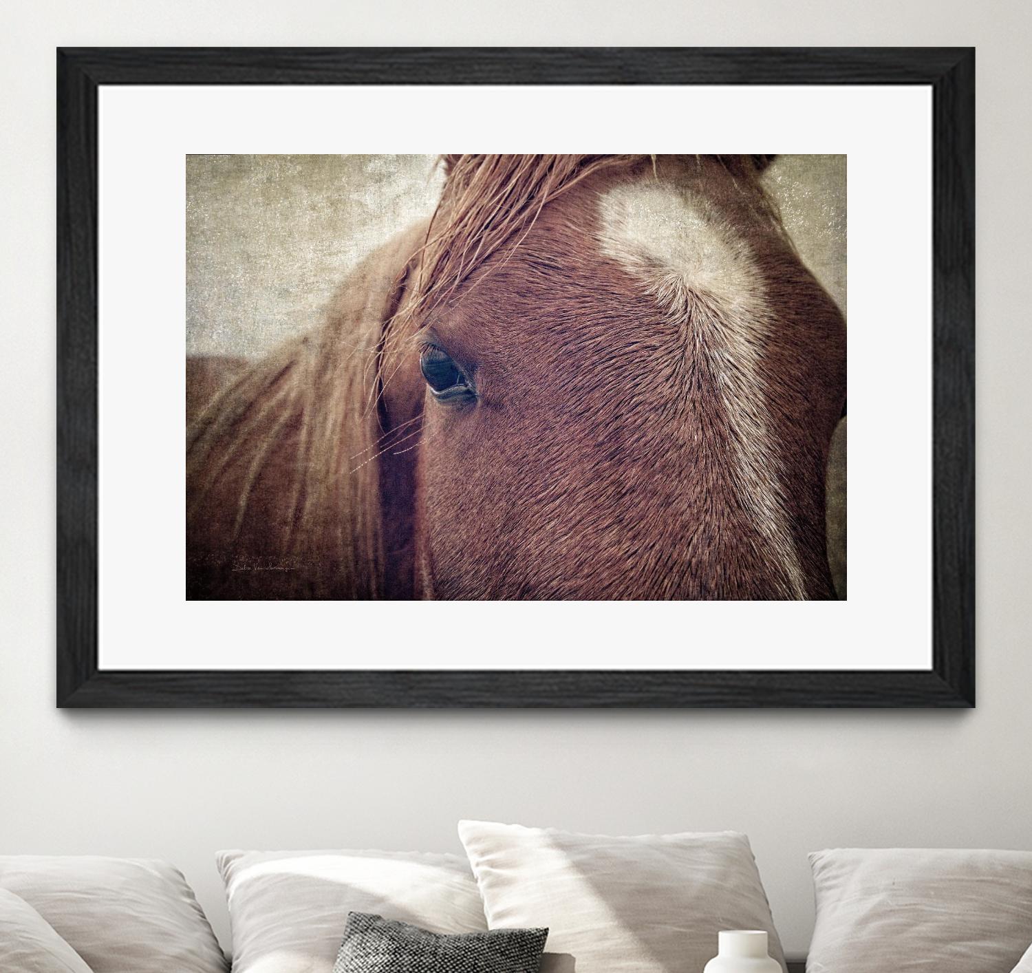 Dew Lashes by Debra Van Swearingen on GIANT ART - animals animals