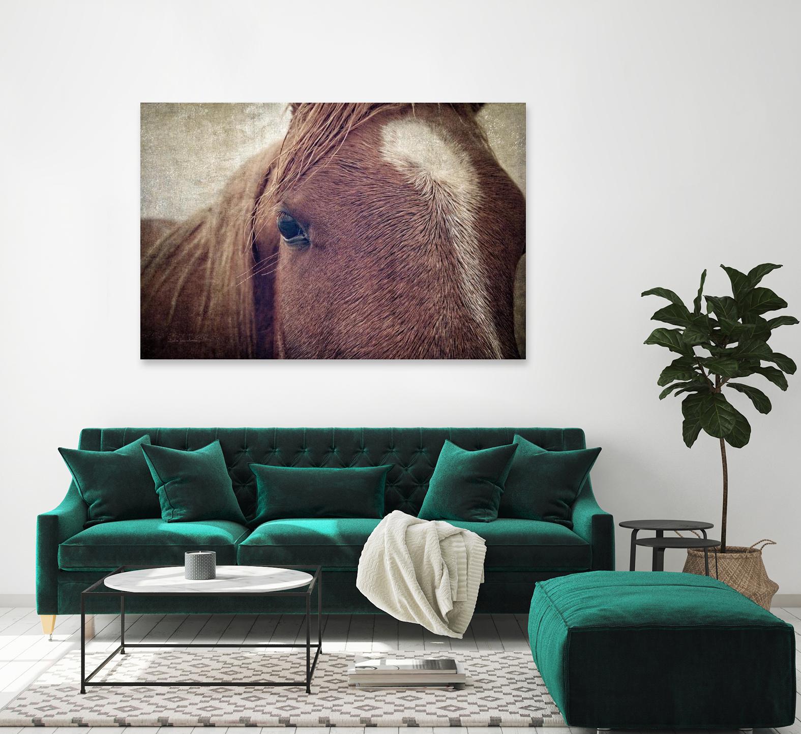 Dew Lashes by Debra Van Swearingen on GIANT ART - animals animals