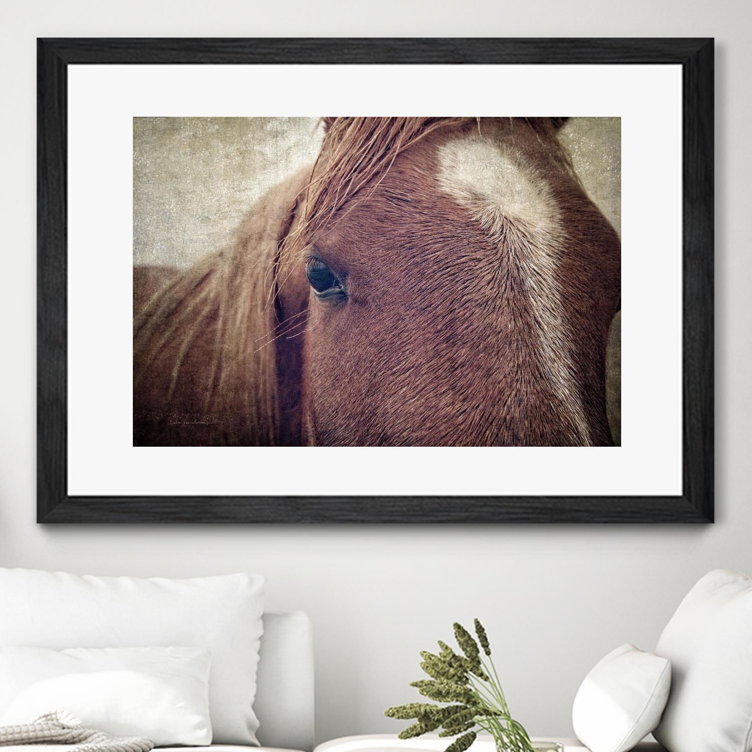 Dew Lashes by Debra Van Swearingen on GIANT ART - animals animals