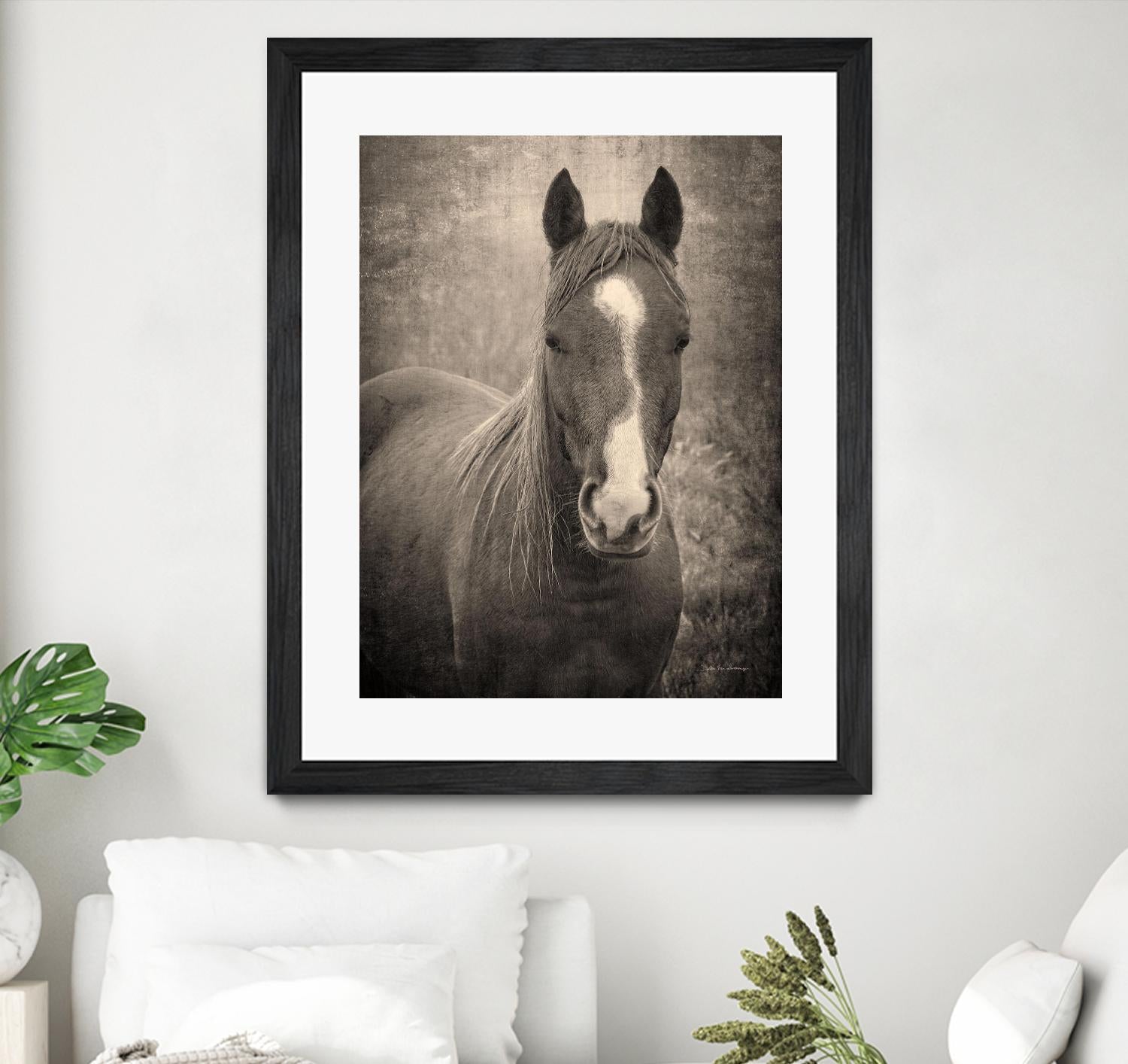 Heres Looking at You II by Debra Van on GIANT ART - animals animals