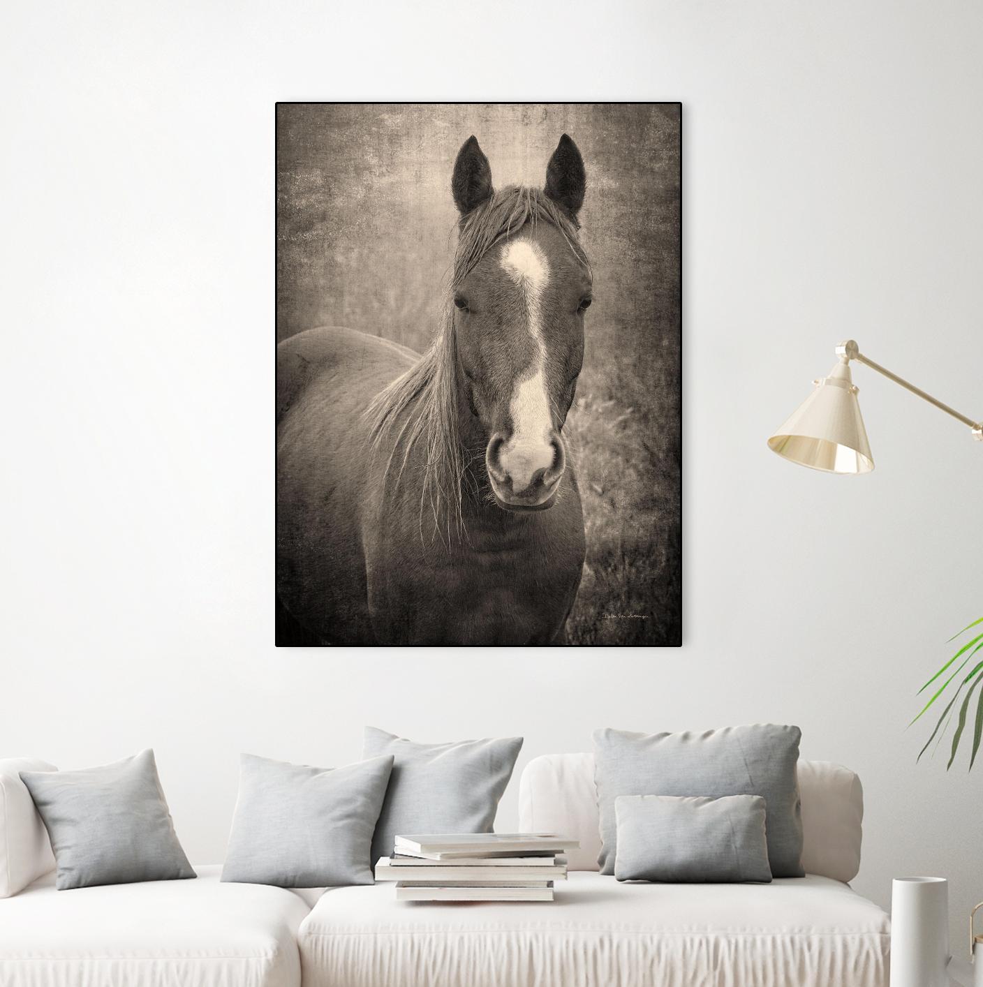 Heres Looking at You II by Debra Van on GIANT ART - animals animals