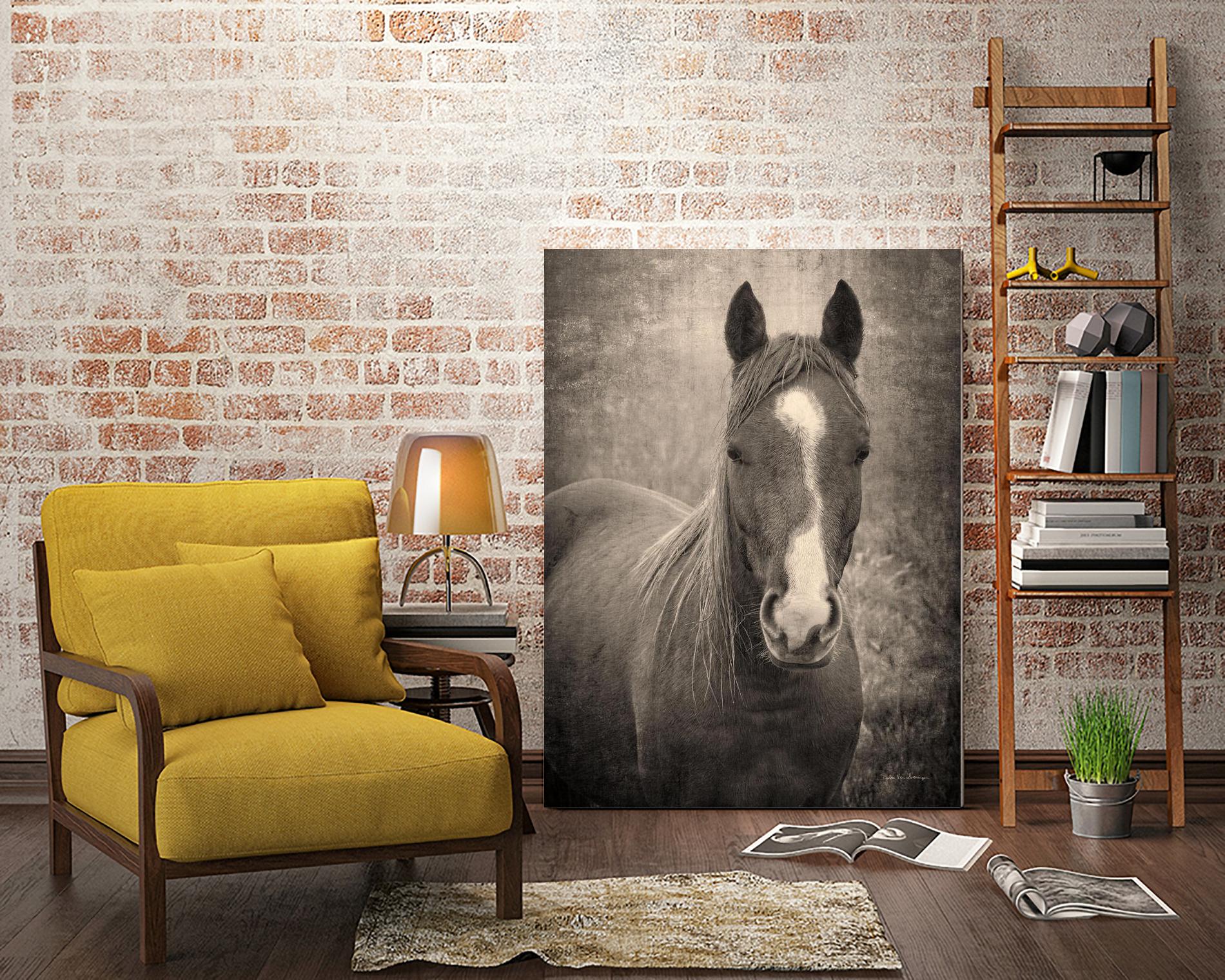 Heres Looking at You II by Debra Van on GIANT ART - animals animals