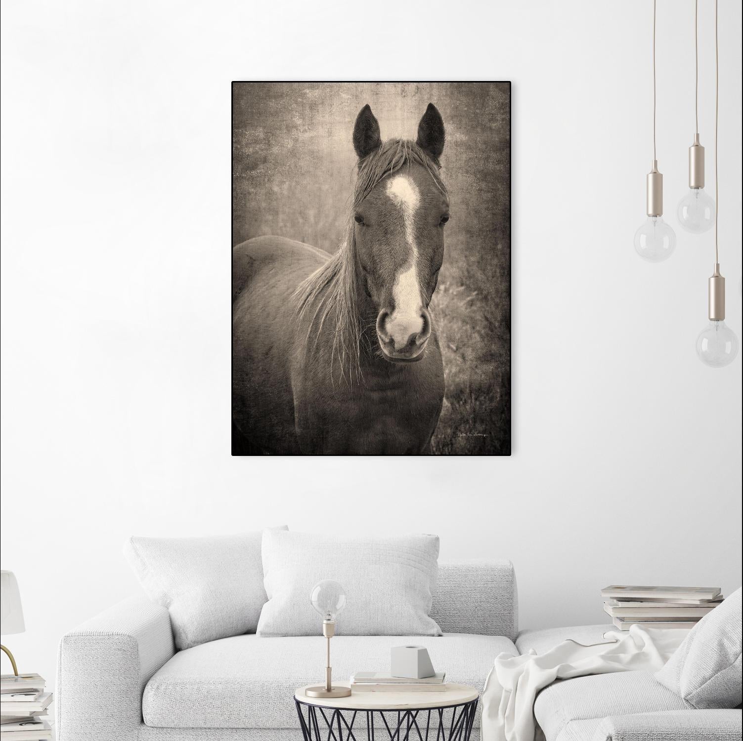 Heres Looking at You II by Debra Van on GIANT ART - animals animals