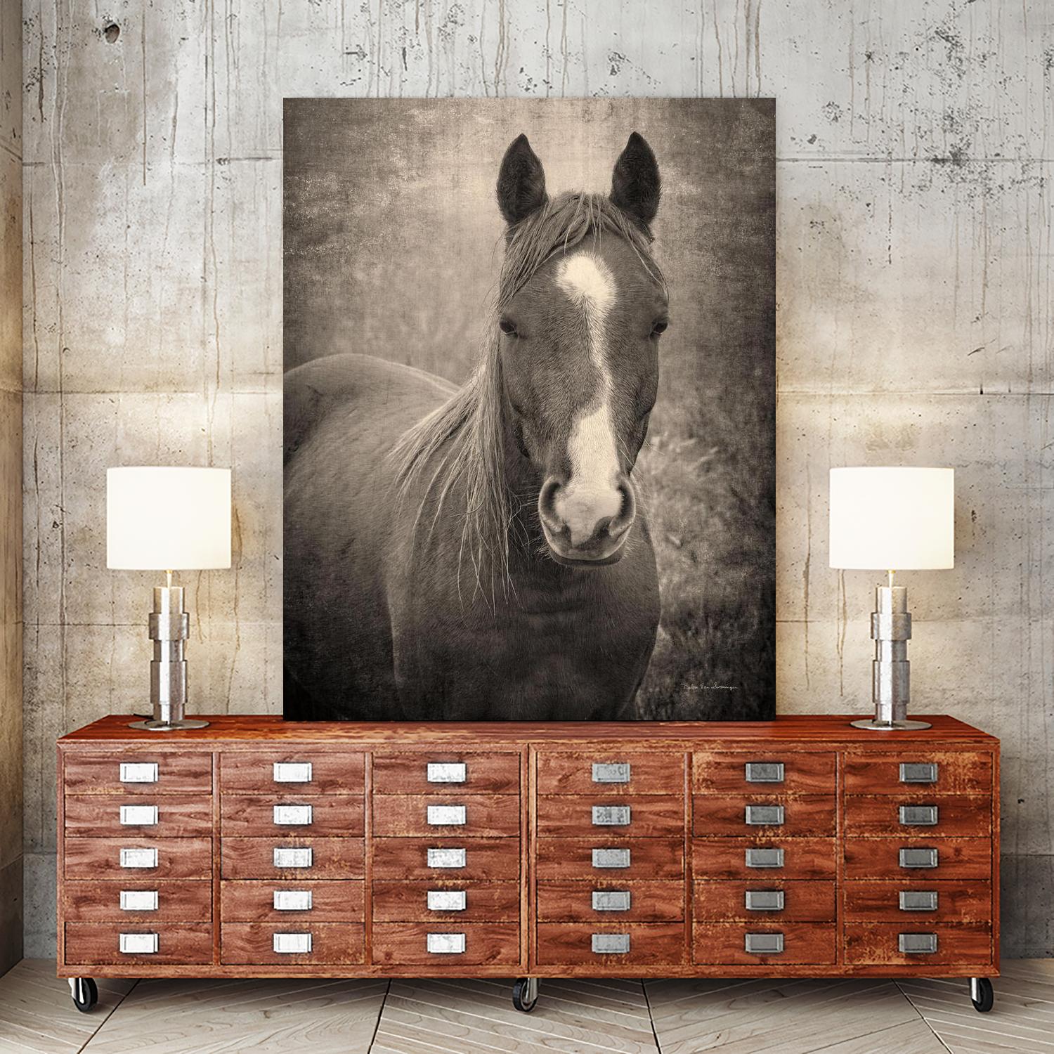 Heres Looking at You II by Debra Van on GIANT ART - animals animals