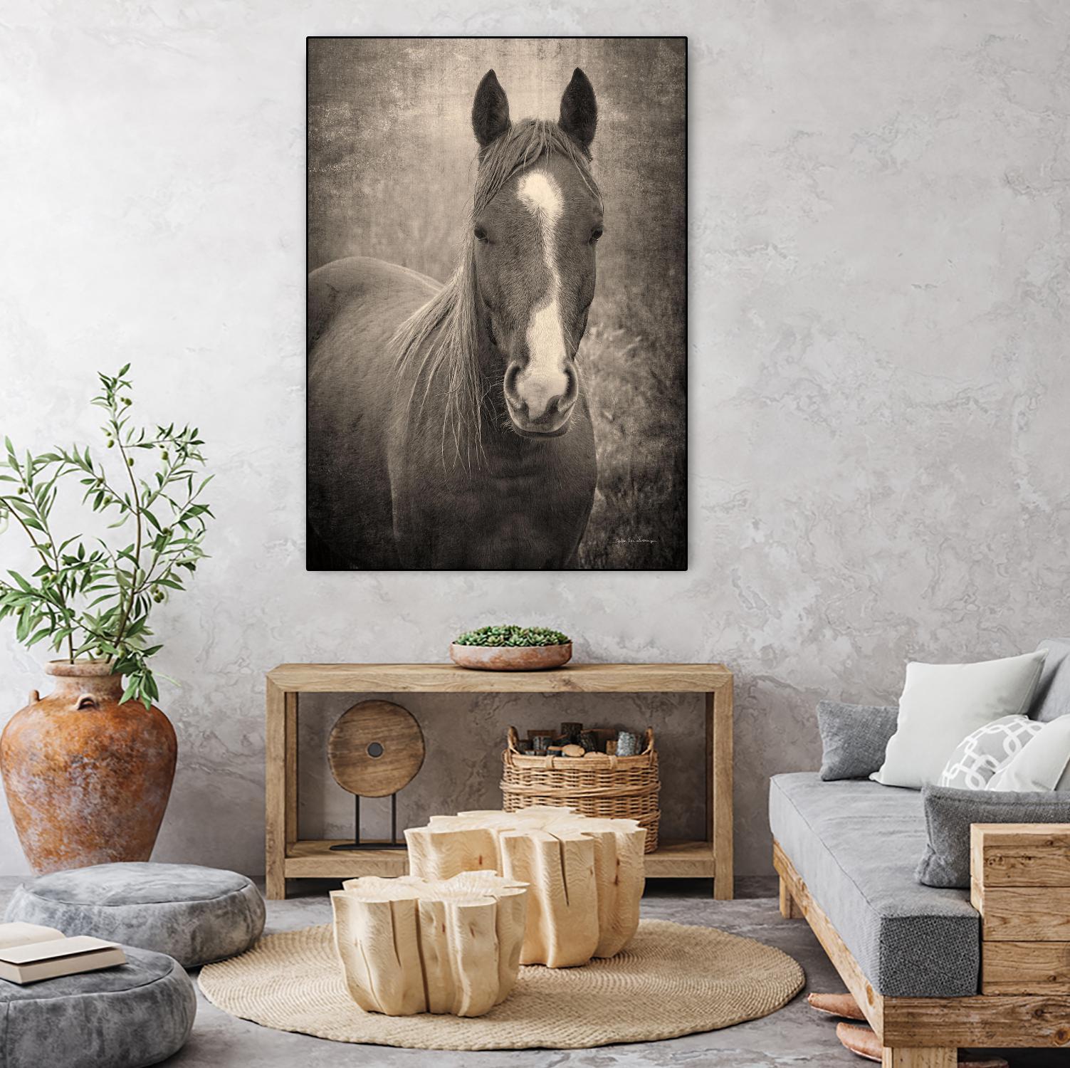 Heres Looking at You II by Debra Van on GIANT ART - animals animals