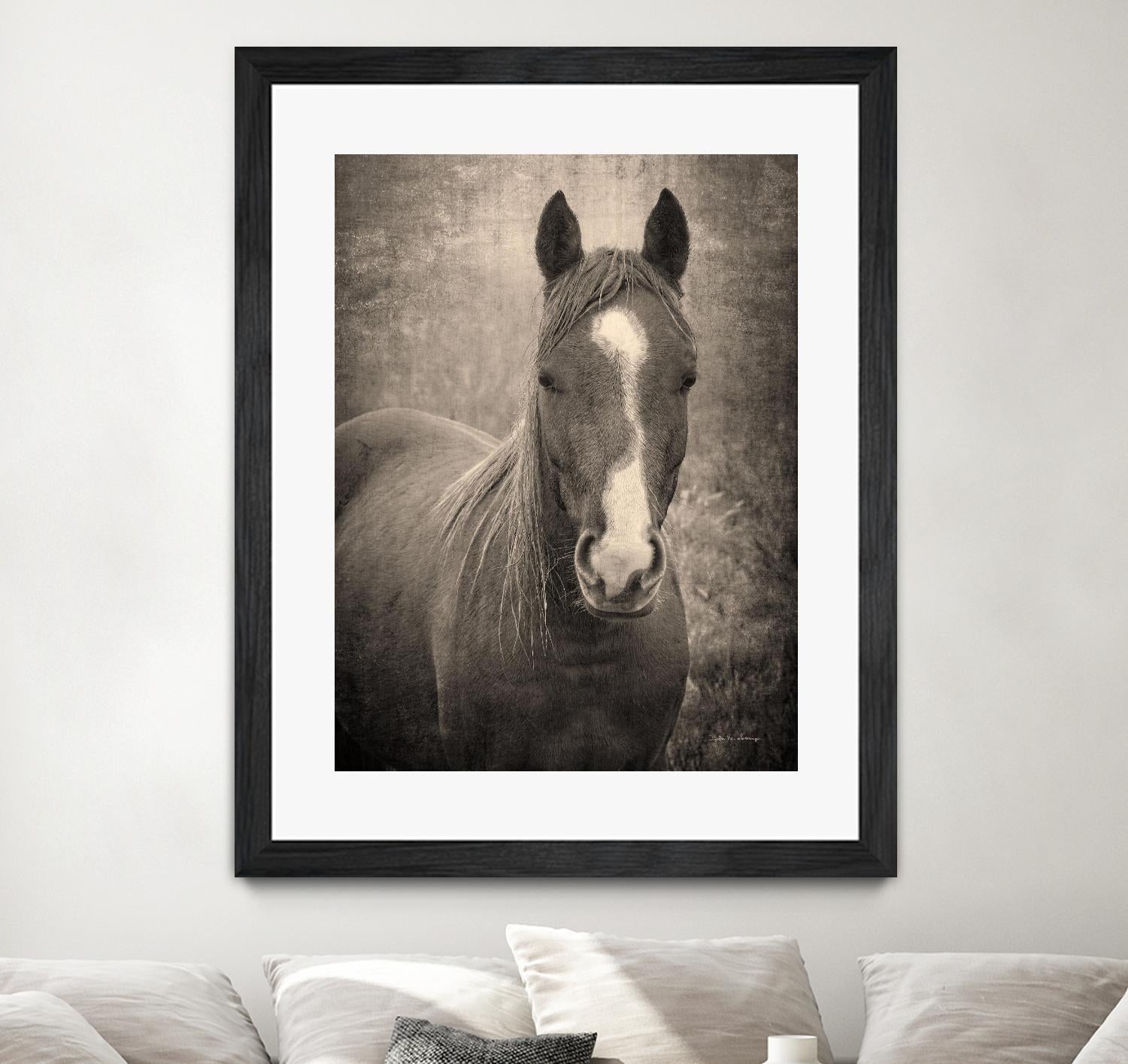 Heres Looking at You II by Debra Van on GIANT ART - animals animals