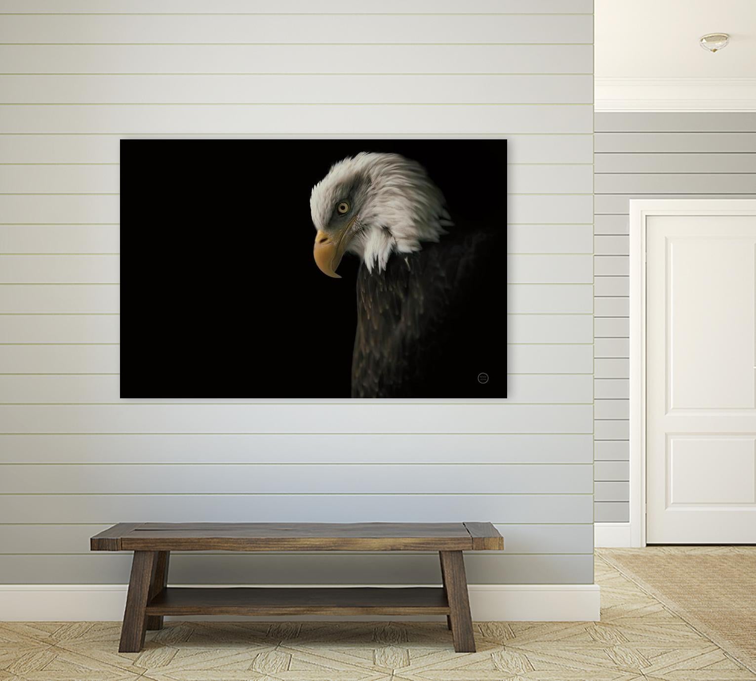 Eagle Bow by Nathan Larson on GIANT ART - white animals oiseau
