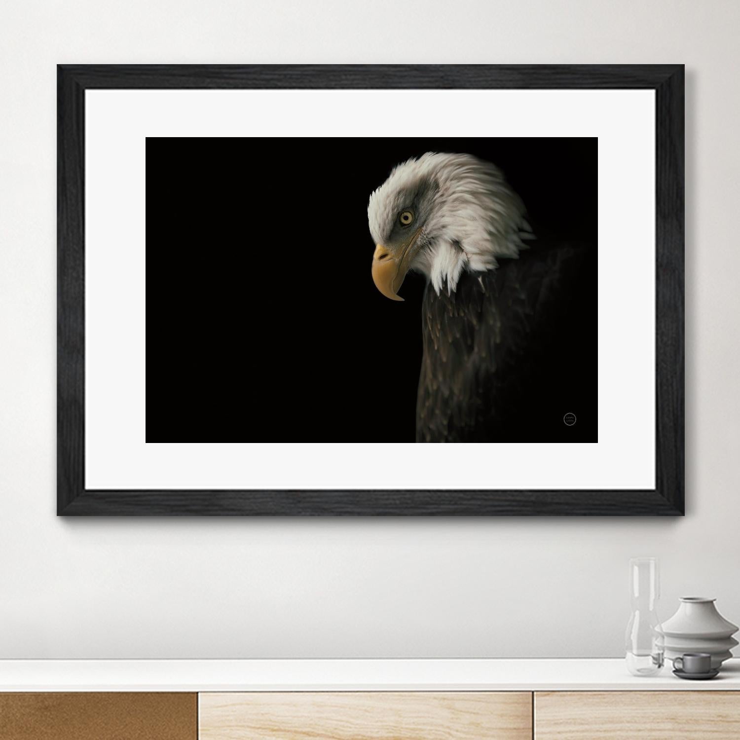 Eagle Bow by Nathan Larson on GIANT ART - white animals oiseau