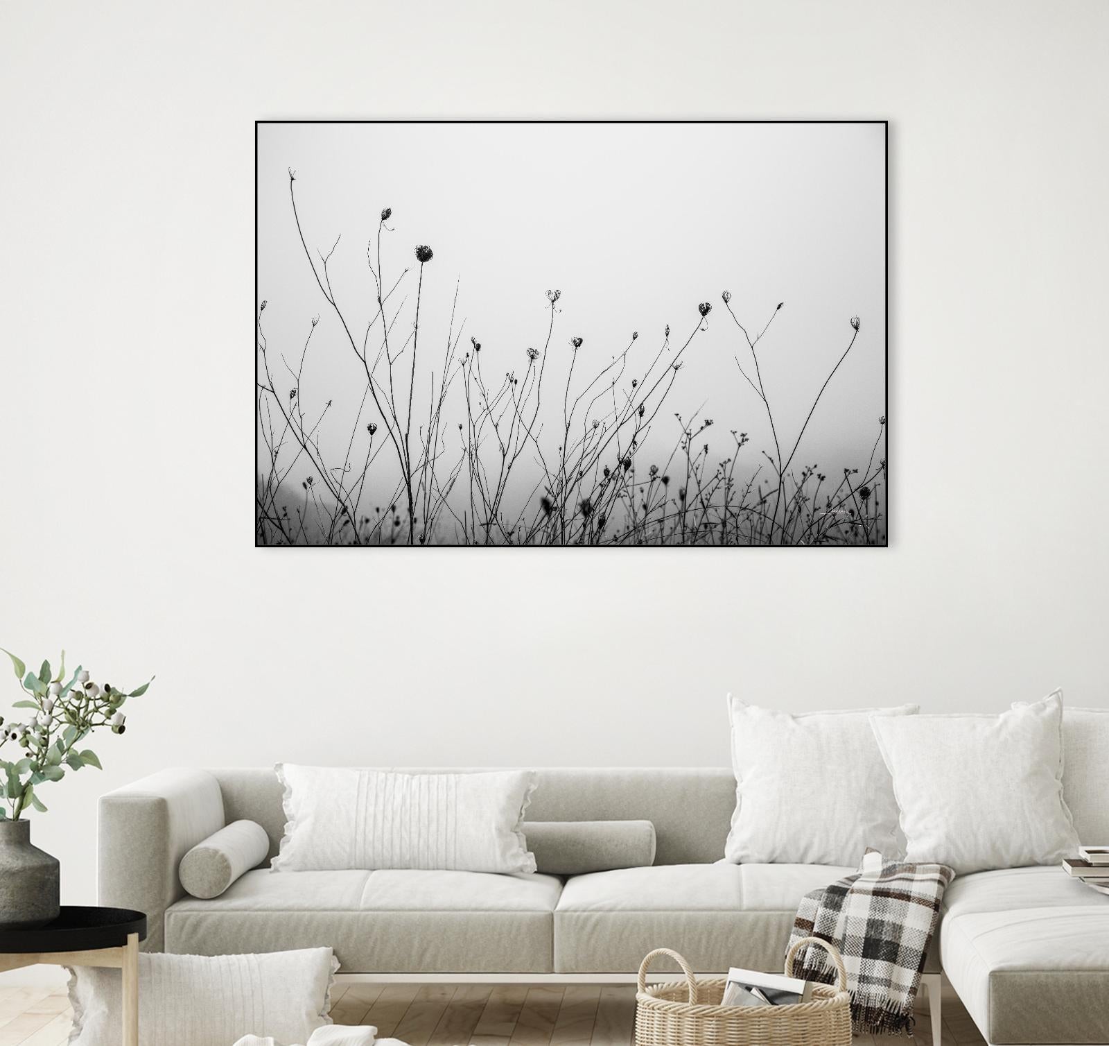 Autumn Grasses by Aledanda on GIANT ART - photography autumn