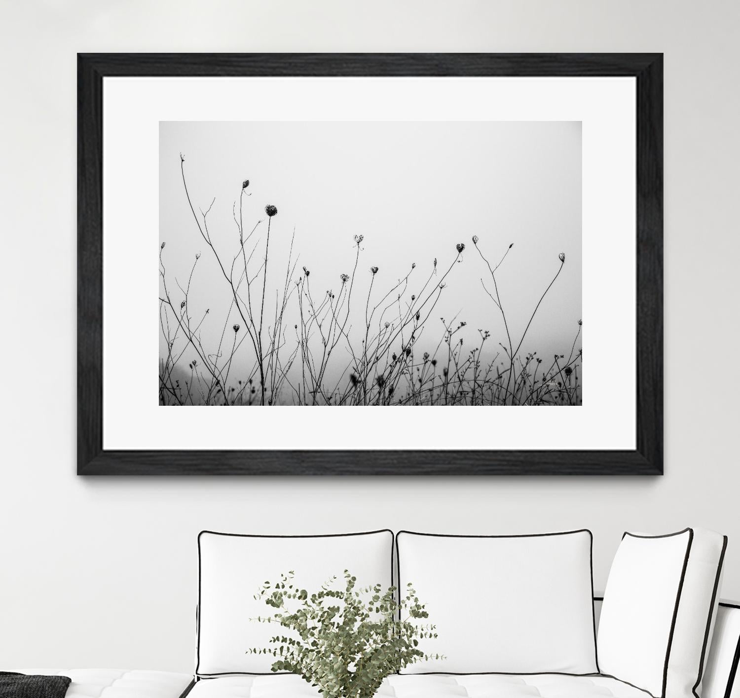 Autumn Grasses by Aledanda on GIANT ART - black & white flowers stems