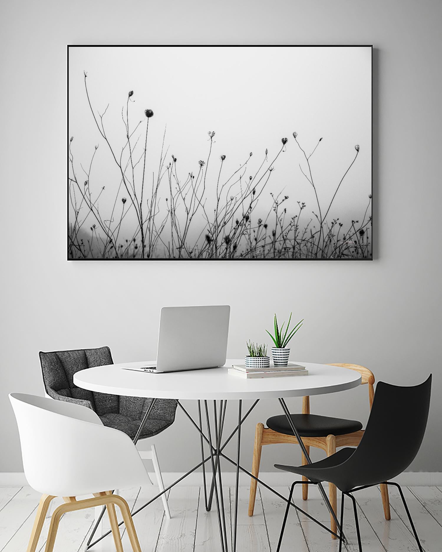 Autumn Grasses by Aledanda on GIANT ART - photography autumn