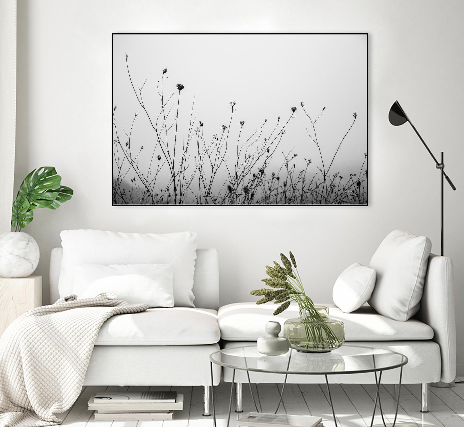 Autumn Grasses by Aledanda on GIANT ART - photography autumn