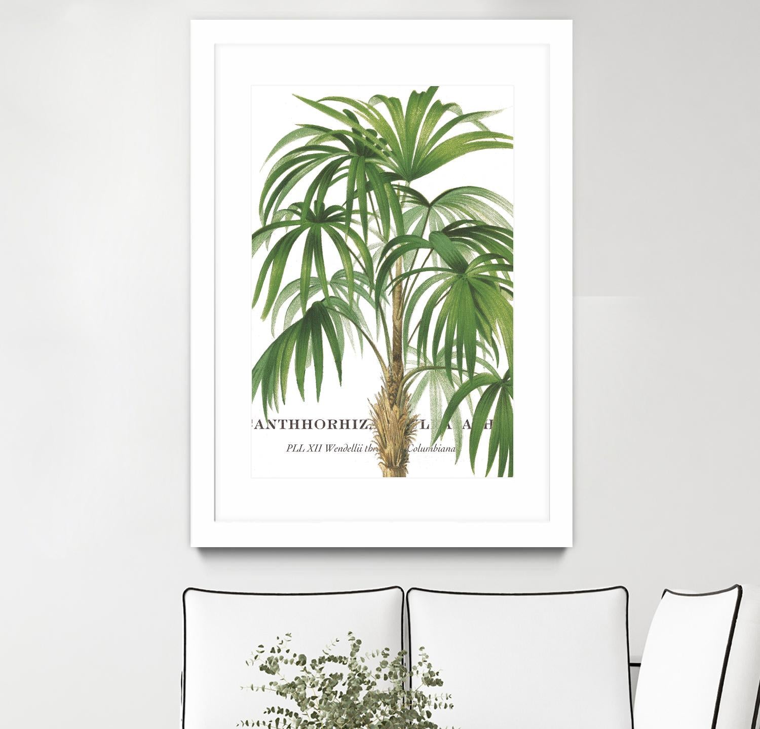 Riviera Palms II by Studio on GIANT ART - green tropical