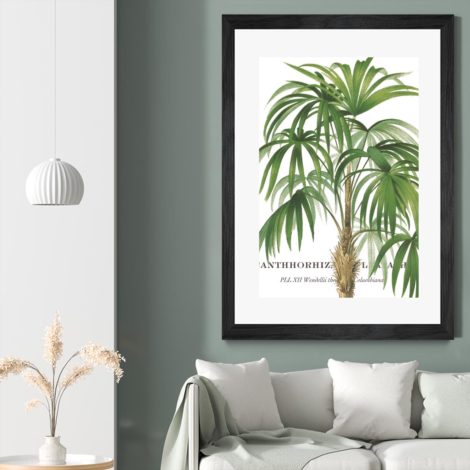 Riviera Palms II by Studio on GIANT ART - green tropical