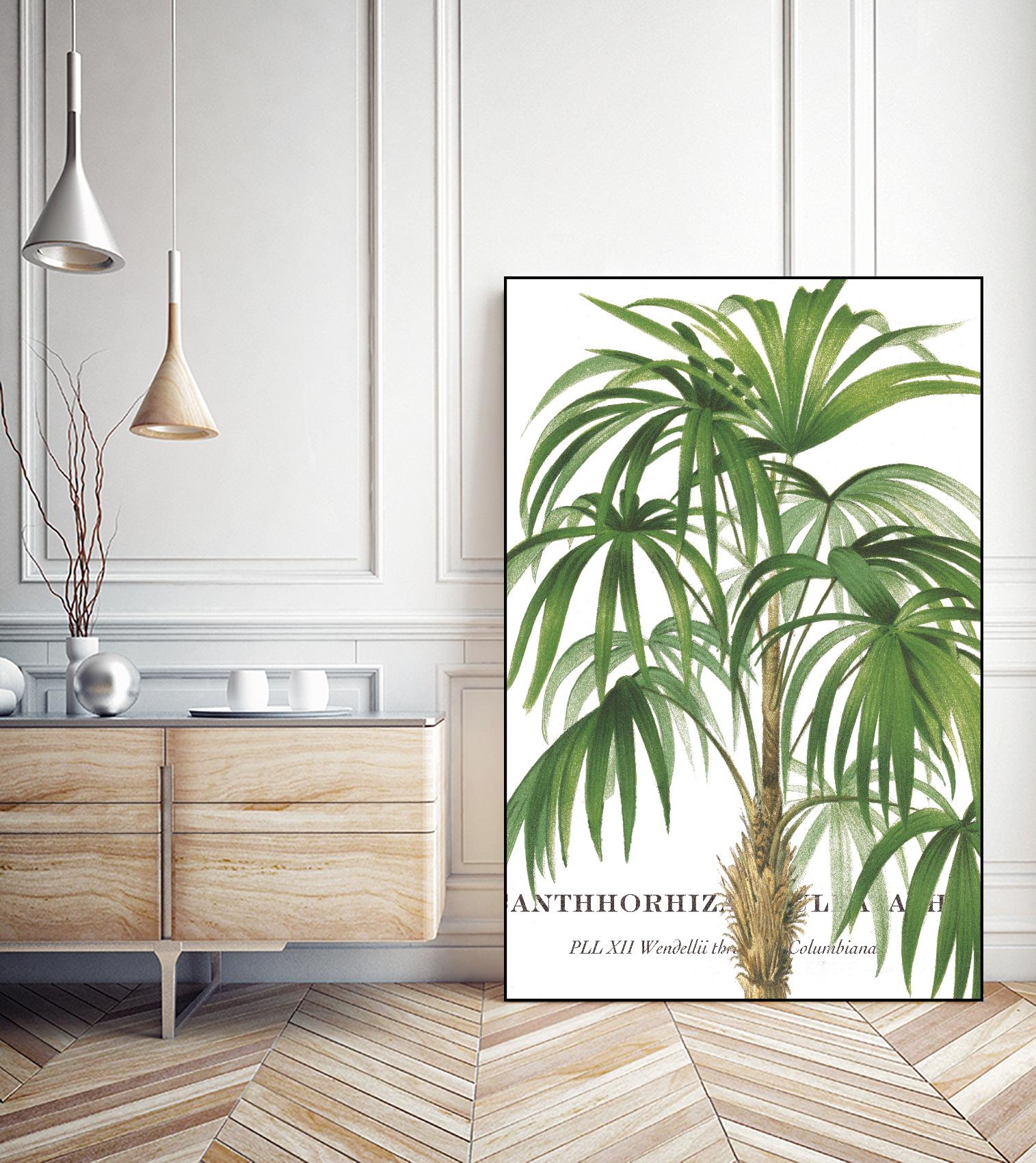 Riviera Palms II by Studio on GIANT ART - green tropical