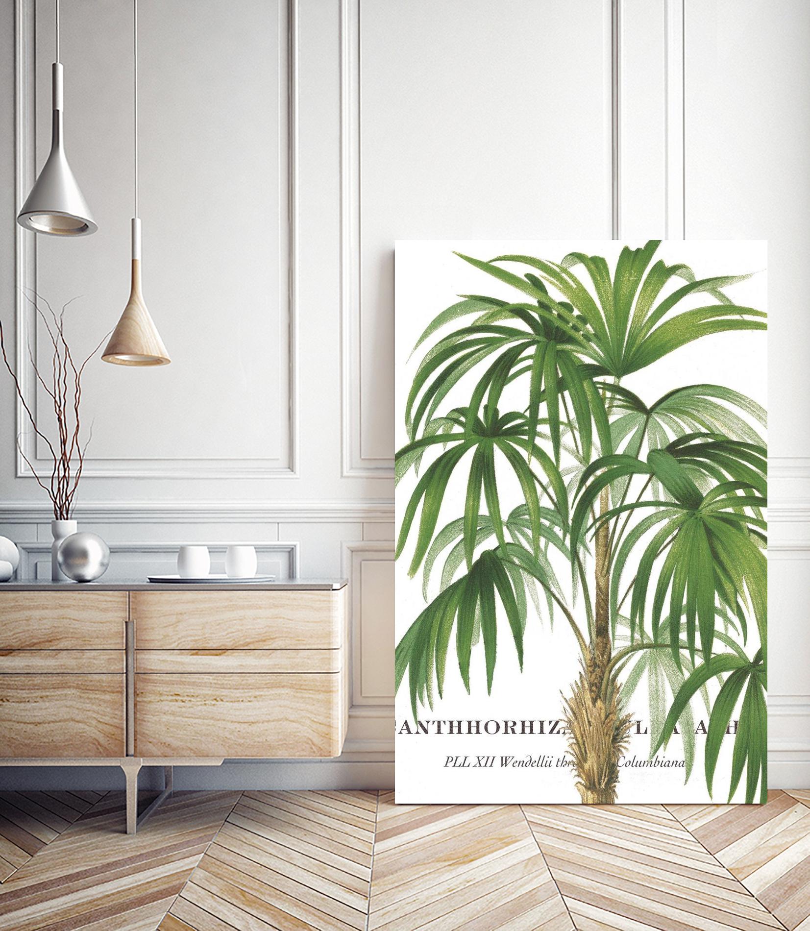 Riviera Palms II by Studio on GIANT ART - green tropical