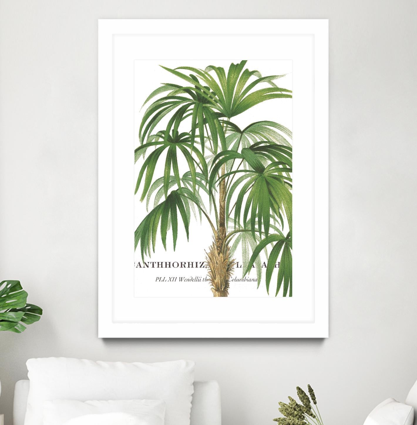 Riviera Palms II by Studio on GIANT ART - green tropical