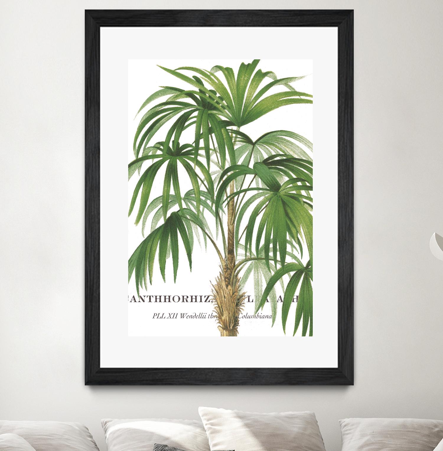 Riviera Palms II by Studio on GIANT ART - green tropical