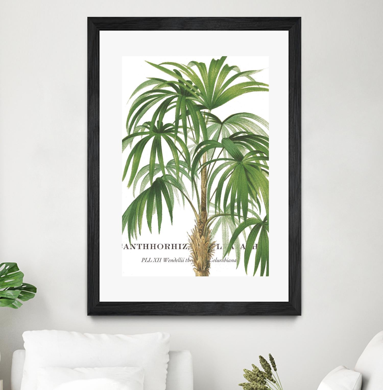 Riviera Palms II by Studio on GIANT ART - green tropical