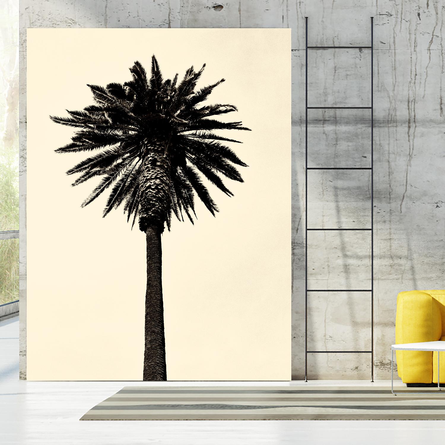 Palm Tree 1979 Tan by Erik Asla on GIANT ART - multicolor photography; contemporary