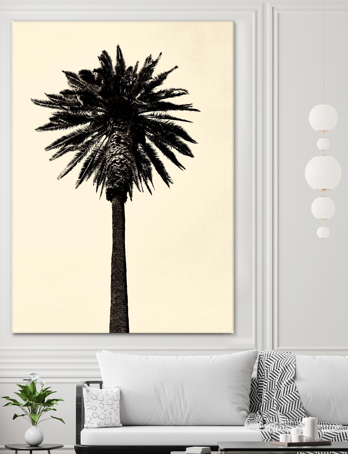 Palm Tree 1979 Tan by Erik Asla on GIANT ART - multicolor photography; contemporary