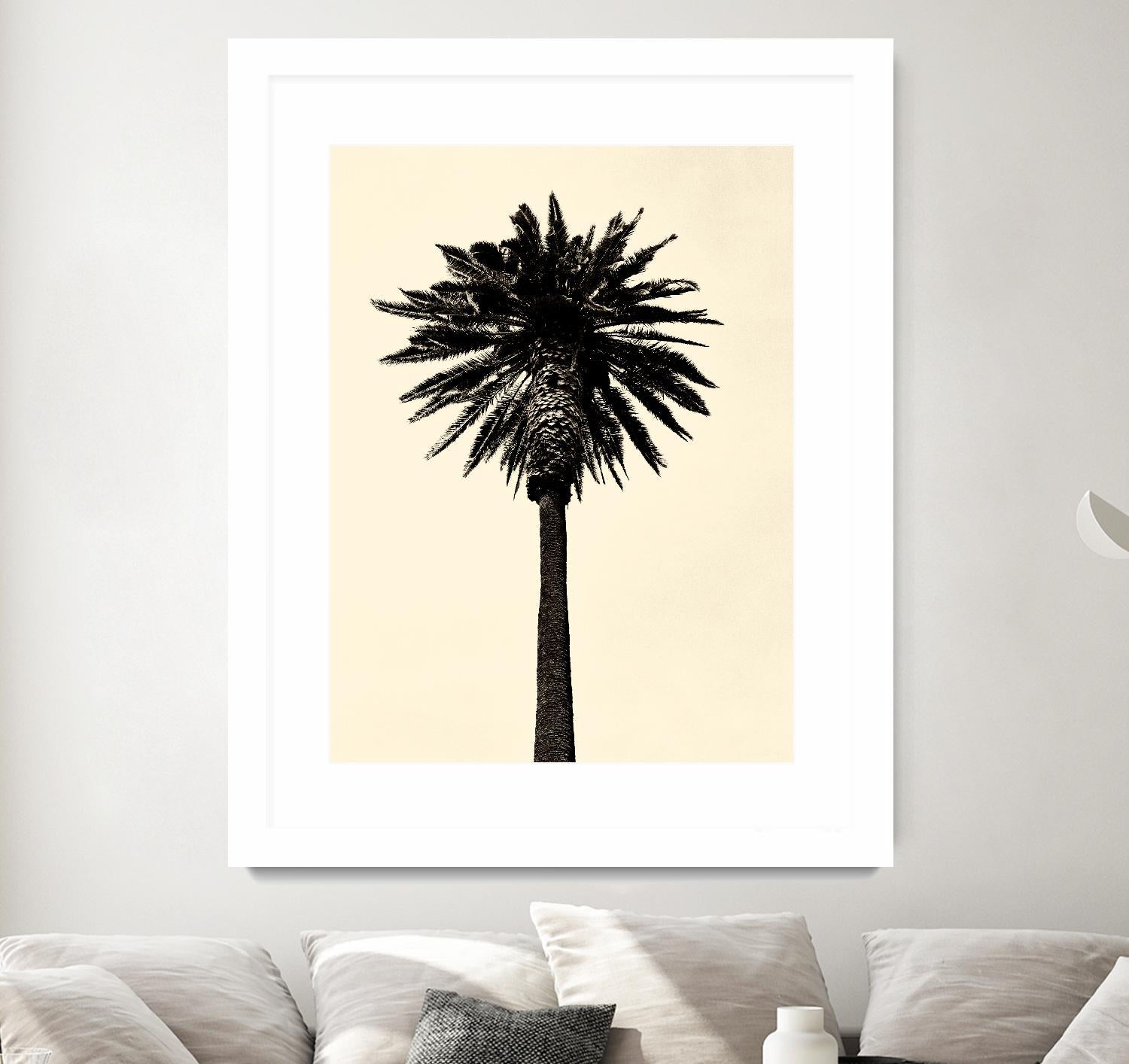 Palm Tree 1979 Tan by Erik Asla on GIANT ART - multicolor photography; contemporary