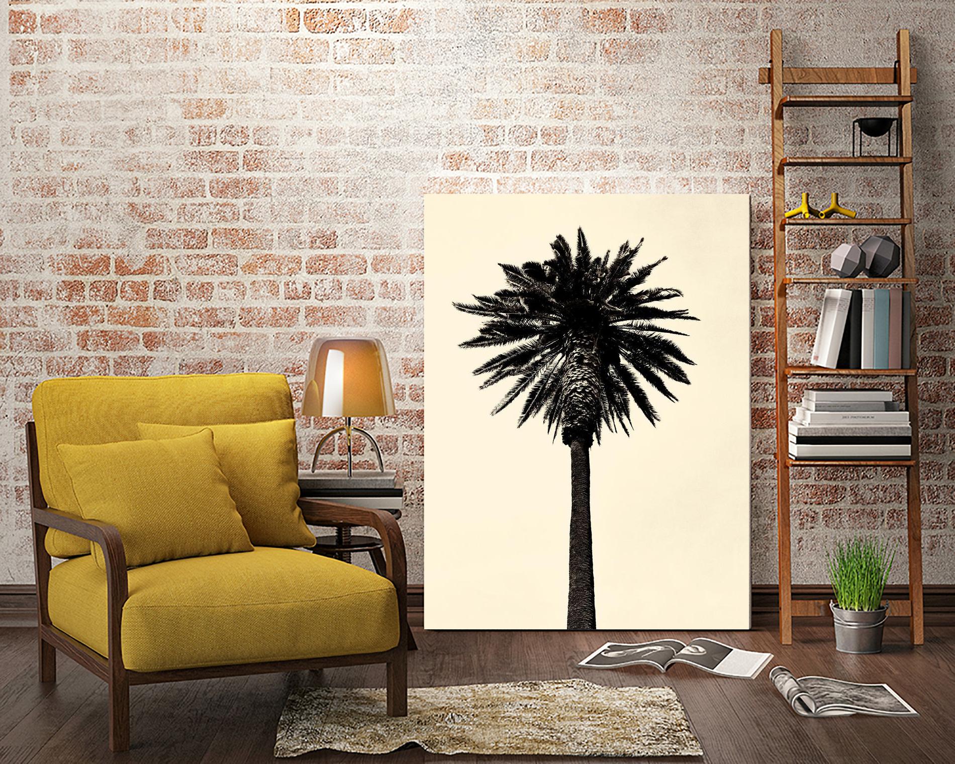 Palm Tree 1979 Tan by Erik Asla on GIANT ART - multicolor photography; contemporary