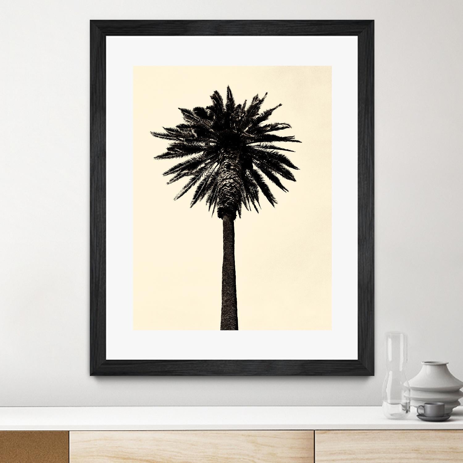 Palm Tree 1979 Tan by Erik Asla on GIANT ART - multicolor photography; contemporary