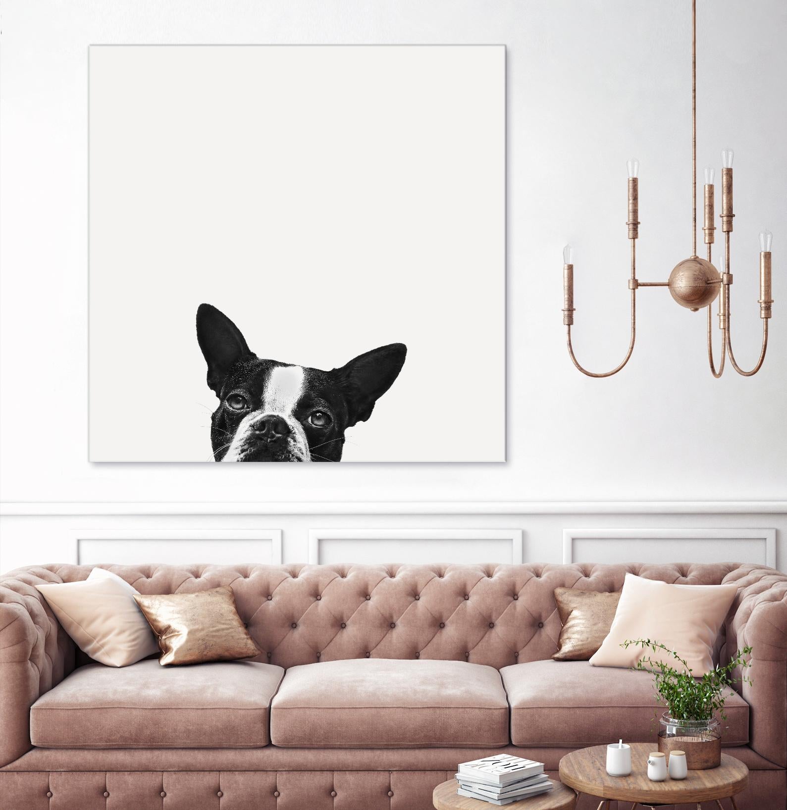 Loyalty by Jon Bertelli on GIANT ART - black,white photography, animals, dogs, humor