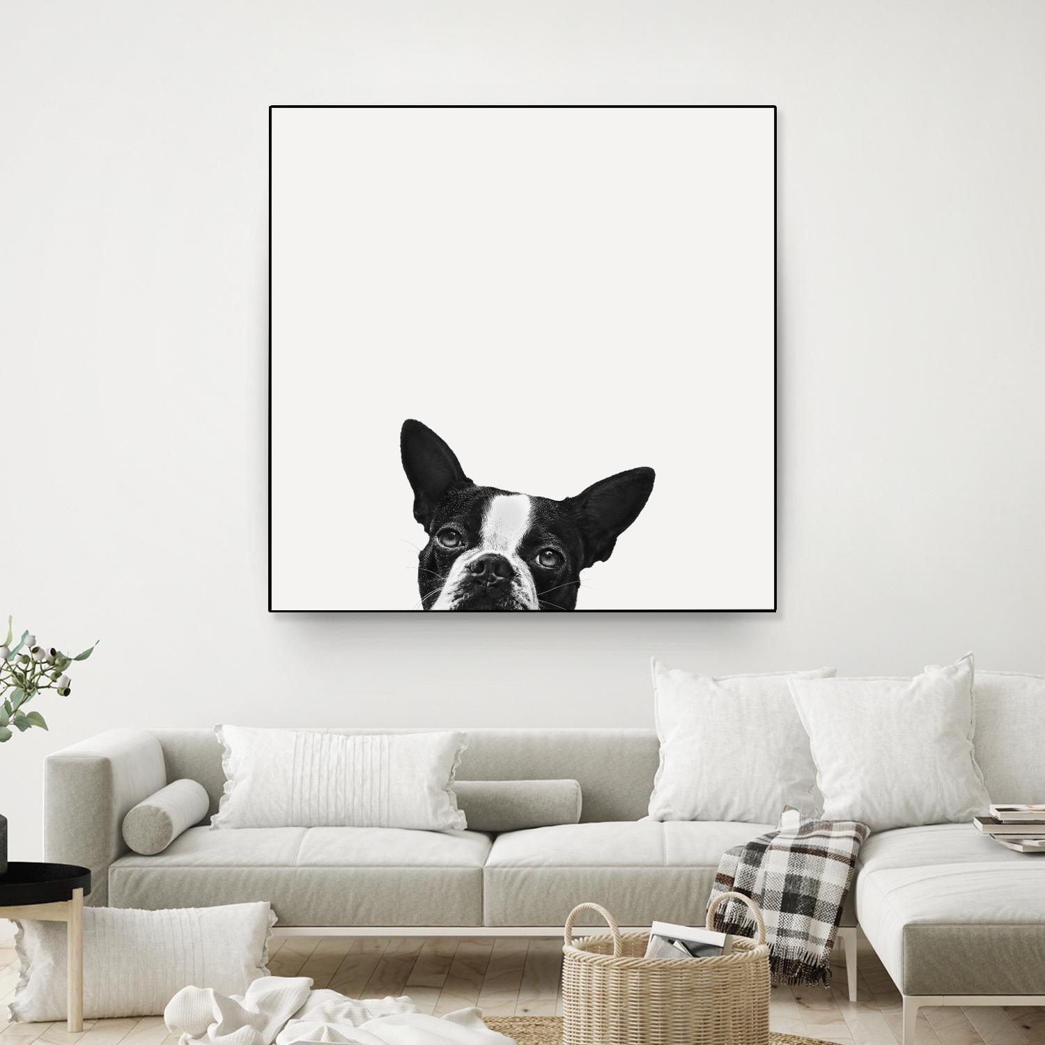 Loyalty by Jon Bertelli on GIANT ART - black,white photography, animals, dogs, humor