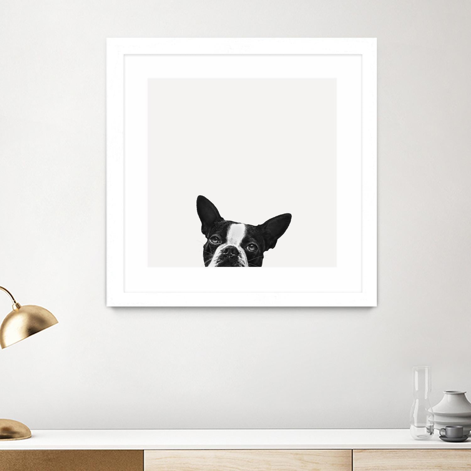 Loyalty by Jon Bertelli on GIANT ART - black,white photography, animals, dogs, humor