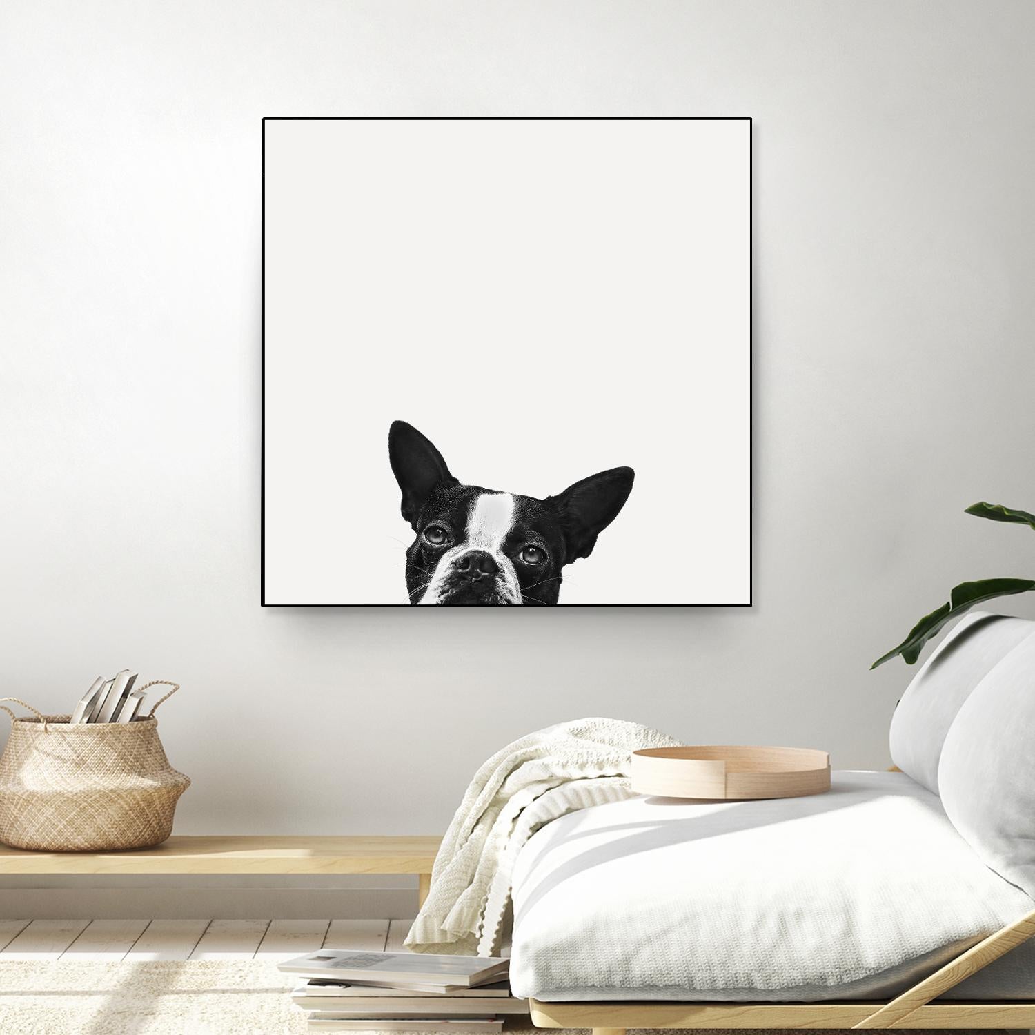 Loyalty by Jon Bertelli on GIANT ART - black,white photography, animals, dogs, humor