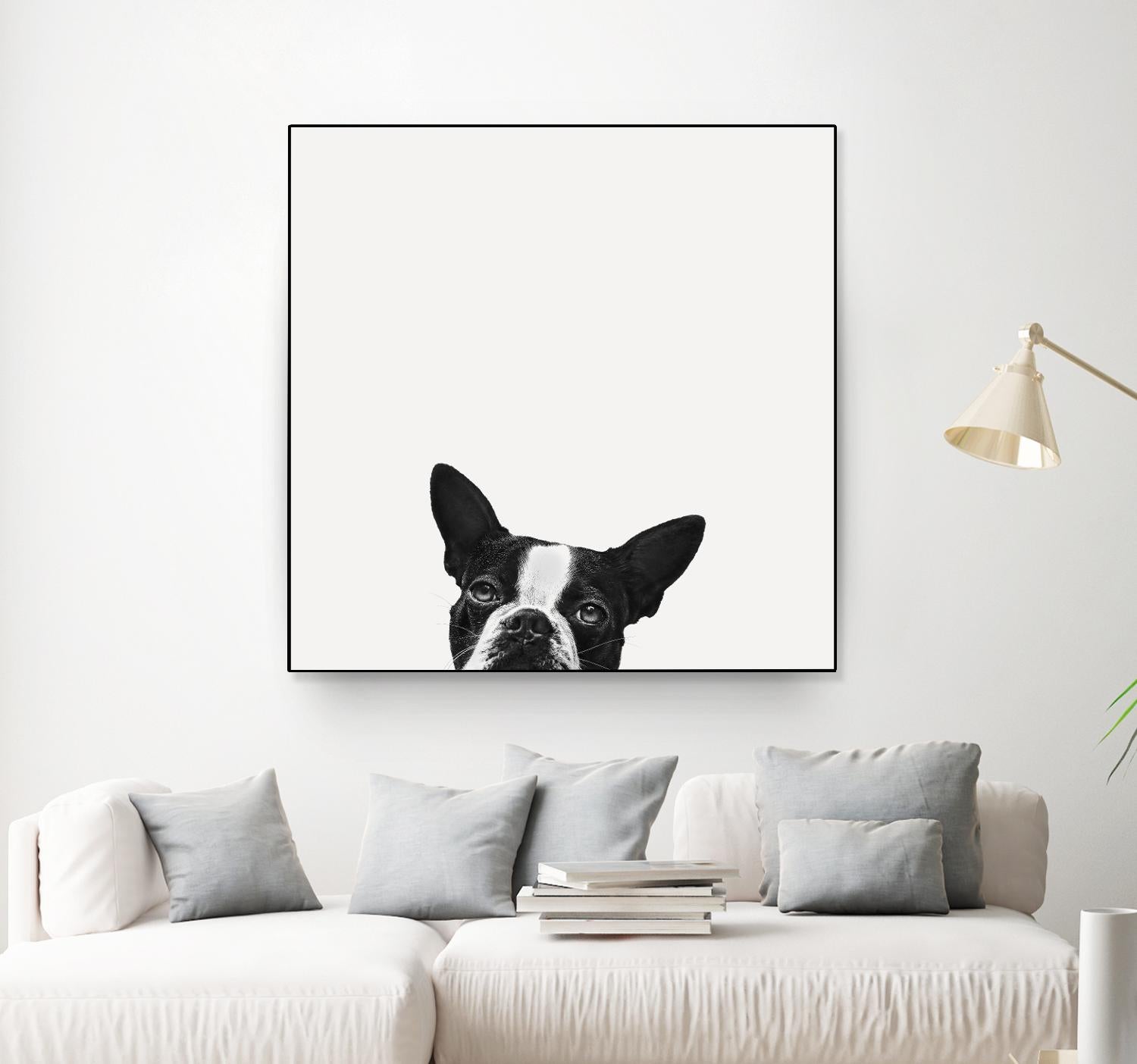 Loyalty by Jon Bertelli on GIANT ART - black,white photography, animals, dogs, humor