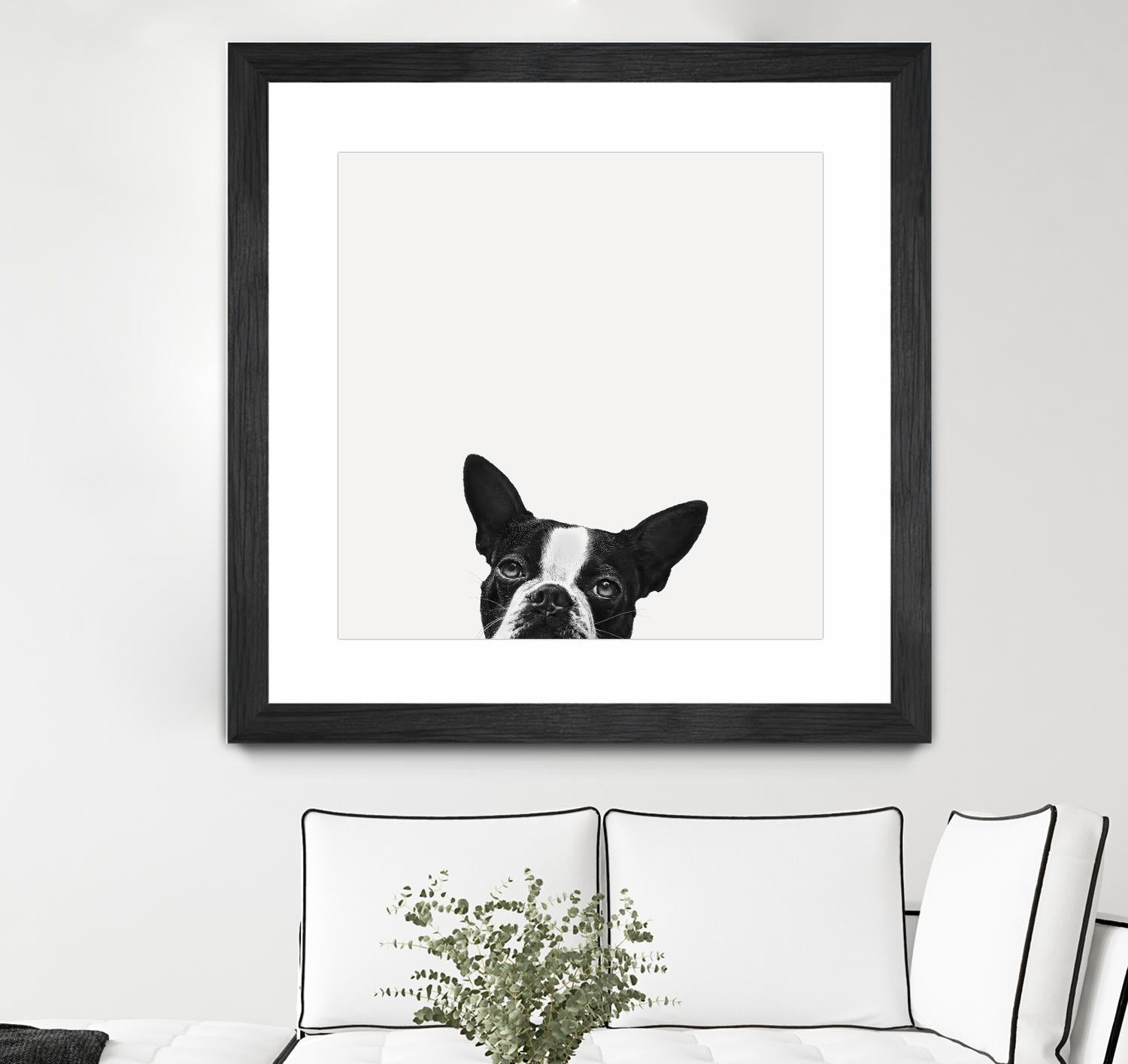 Loyalty by Jon Bertelli on GIANT ART - black,white photography, animals, dogs, humor