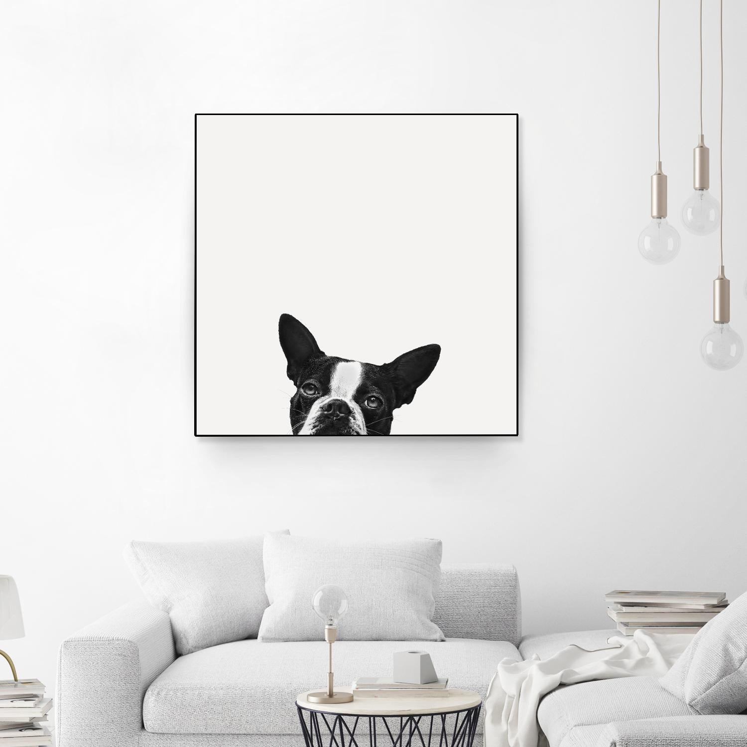 Loyalty by Jon Bertelli on GIANT ART - black,white photography, animals, dogs, humor