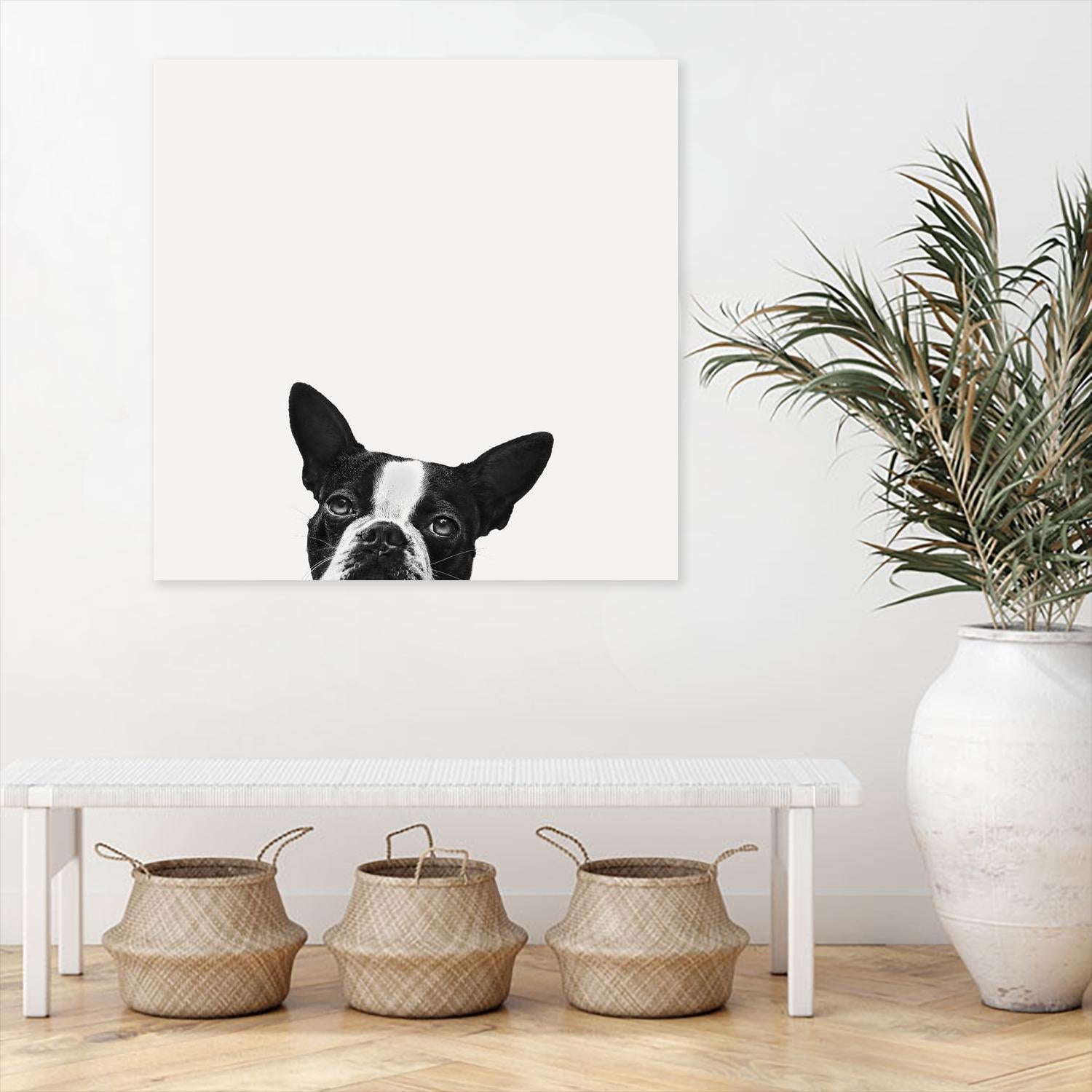 Loyalty by Jon Bertelli on GIANT ART - black,white photography, animals, dogs, humor