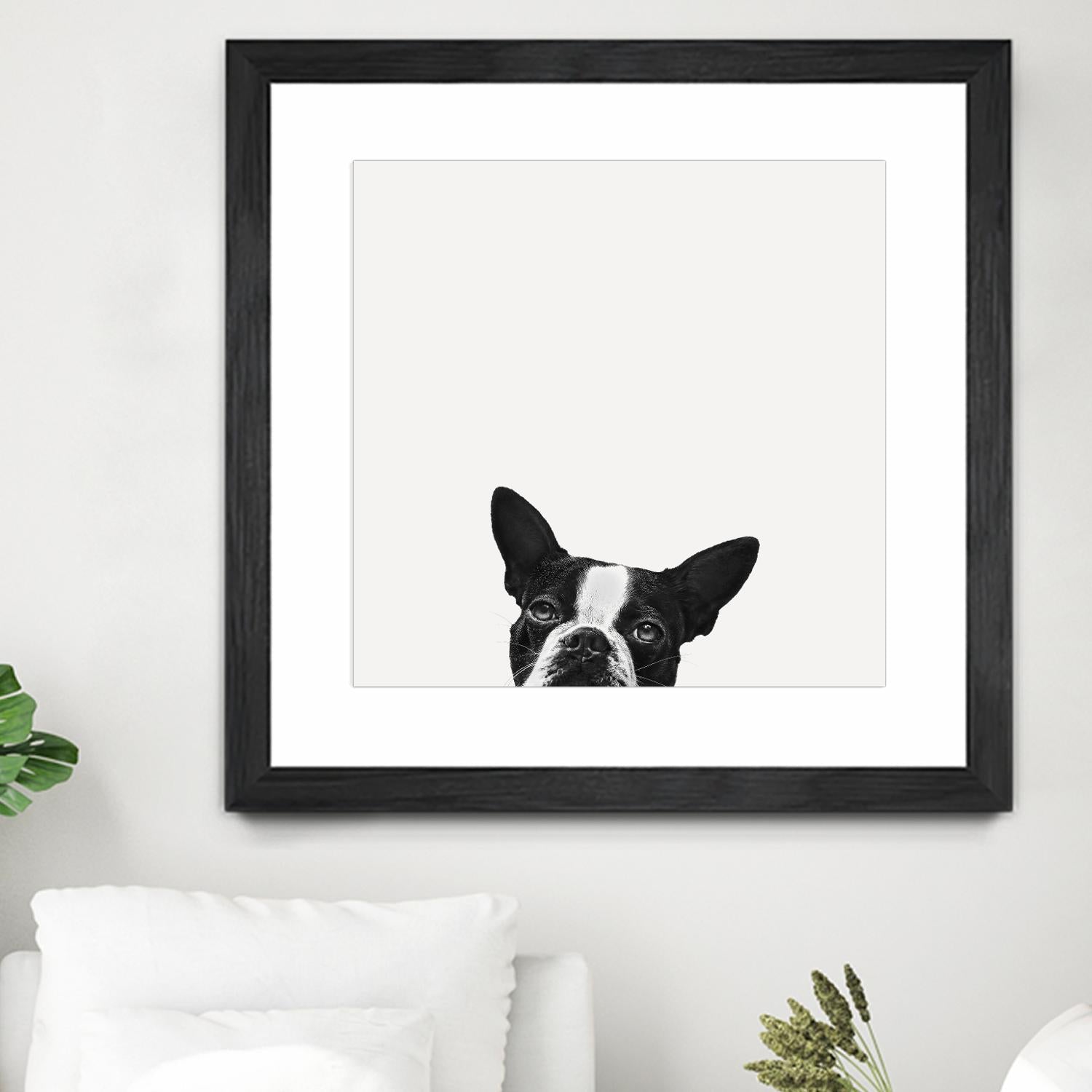 Loyalty by Jon Bertelli on GIANT ART - black,white photography, animals, dogs, humor