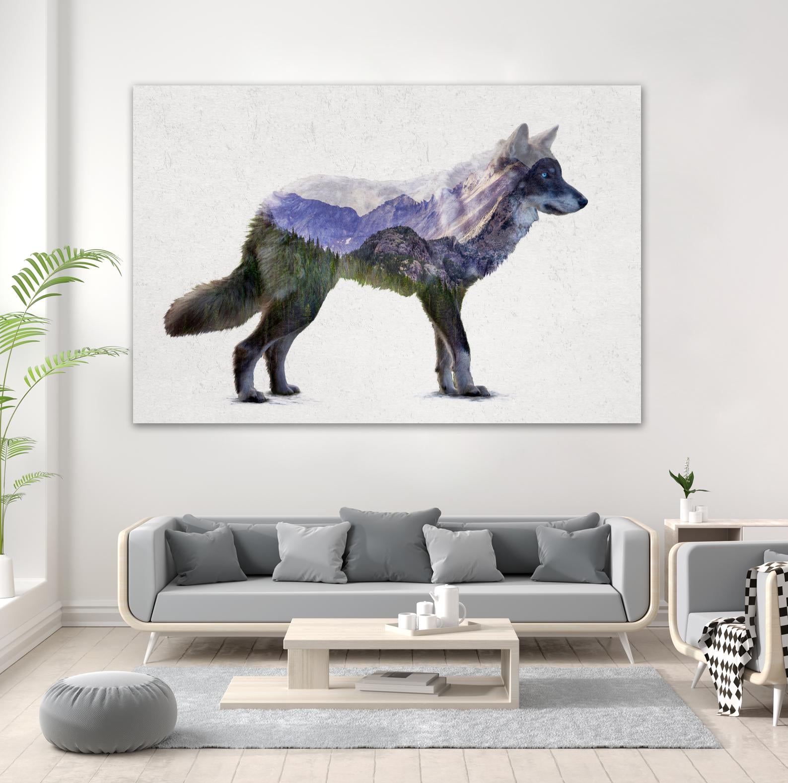 Rocky Mountain Grey Wolf by Davies Babies on GIANT ART - white animals