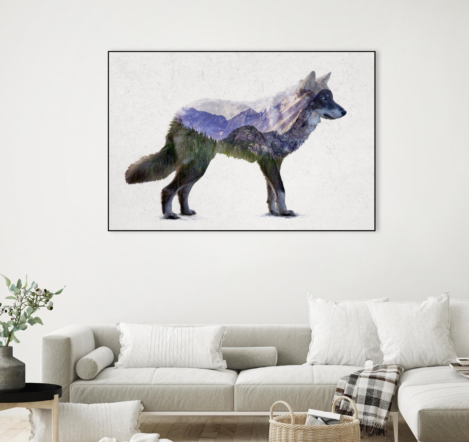 Rocky Mountain Grey Wolf by Davies Babies on GIANT ART - white animals