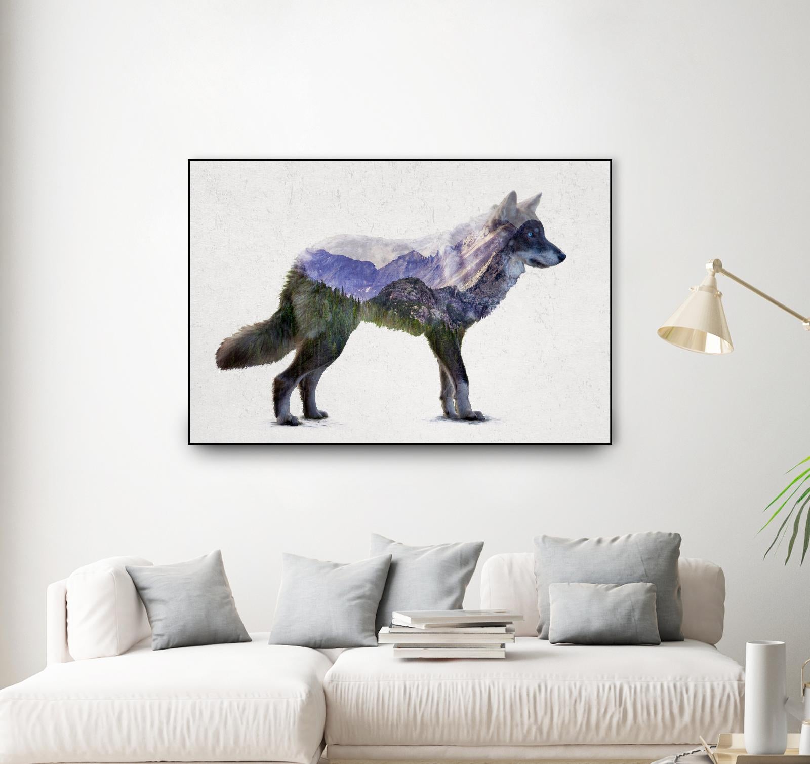 Rocky Mountain Grey Wolf by Davies Babies on GIANT ART - white animals