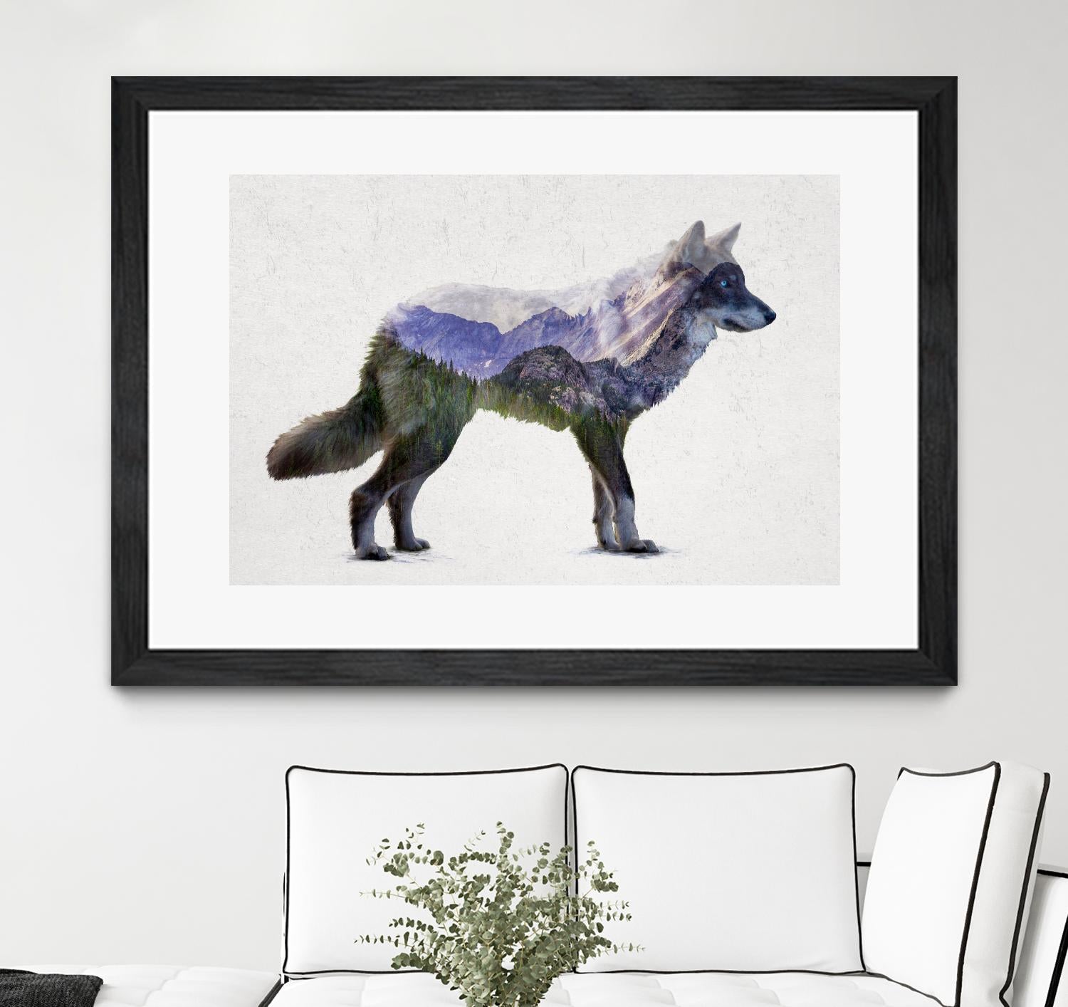 Rocky Mountain Grey Wolf by Davies Babies on GIANT ART - white animals