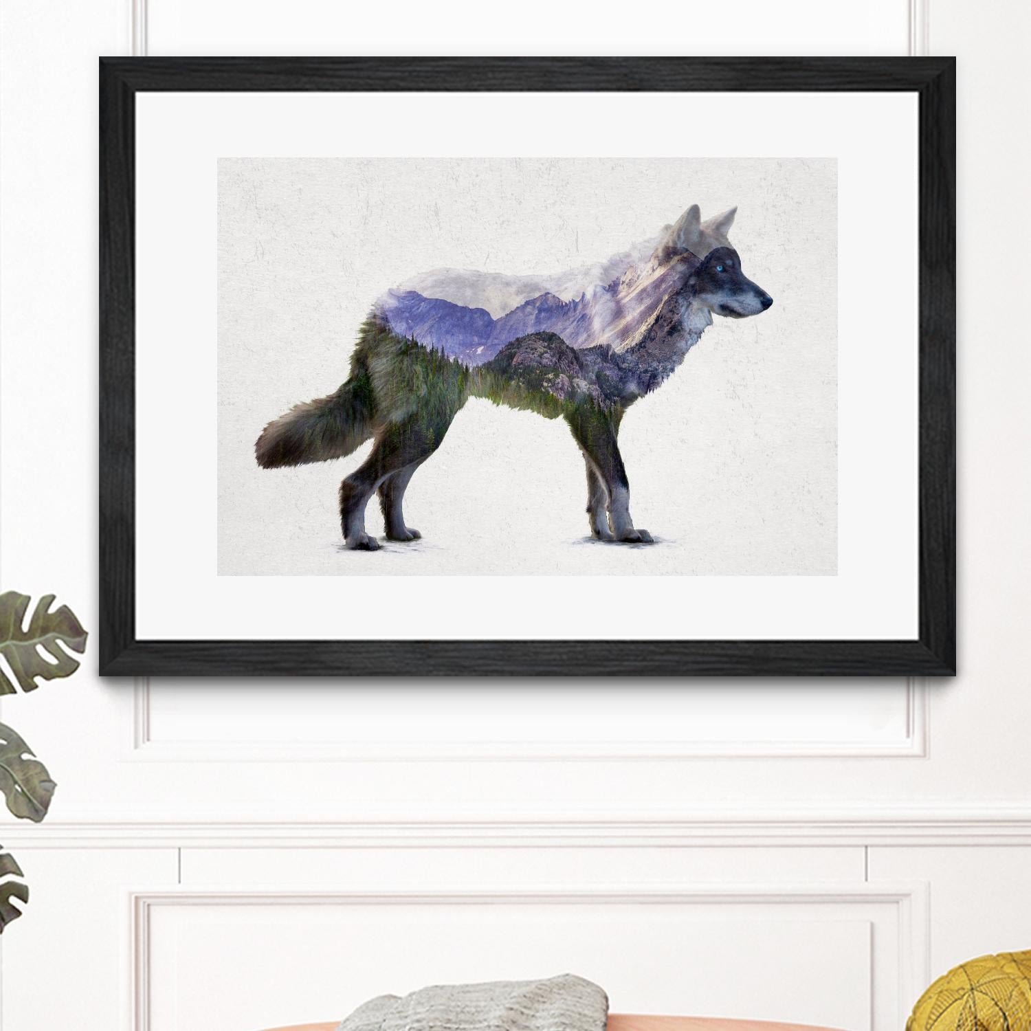 Rocky Mountain Grey Wolf by Davies Babies on GIANT ART - white animals