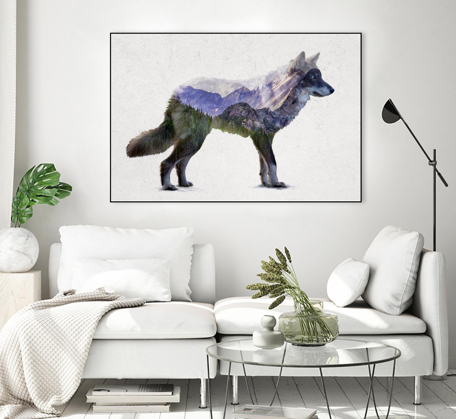 Rocky Mountain Grey Wolf by Davies Babies on GIANT ART - white animals