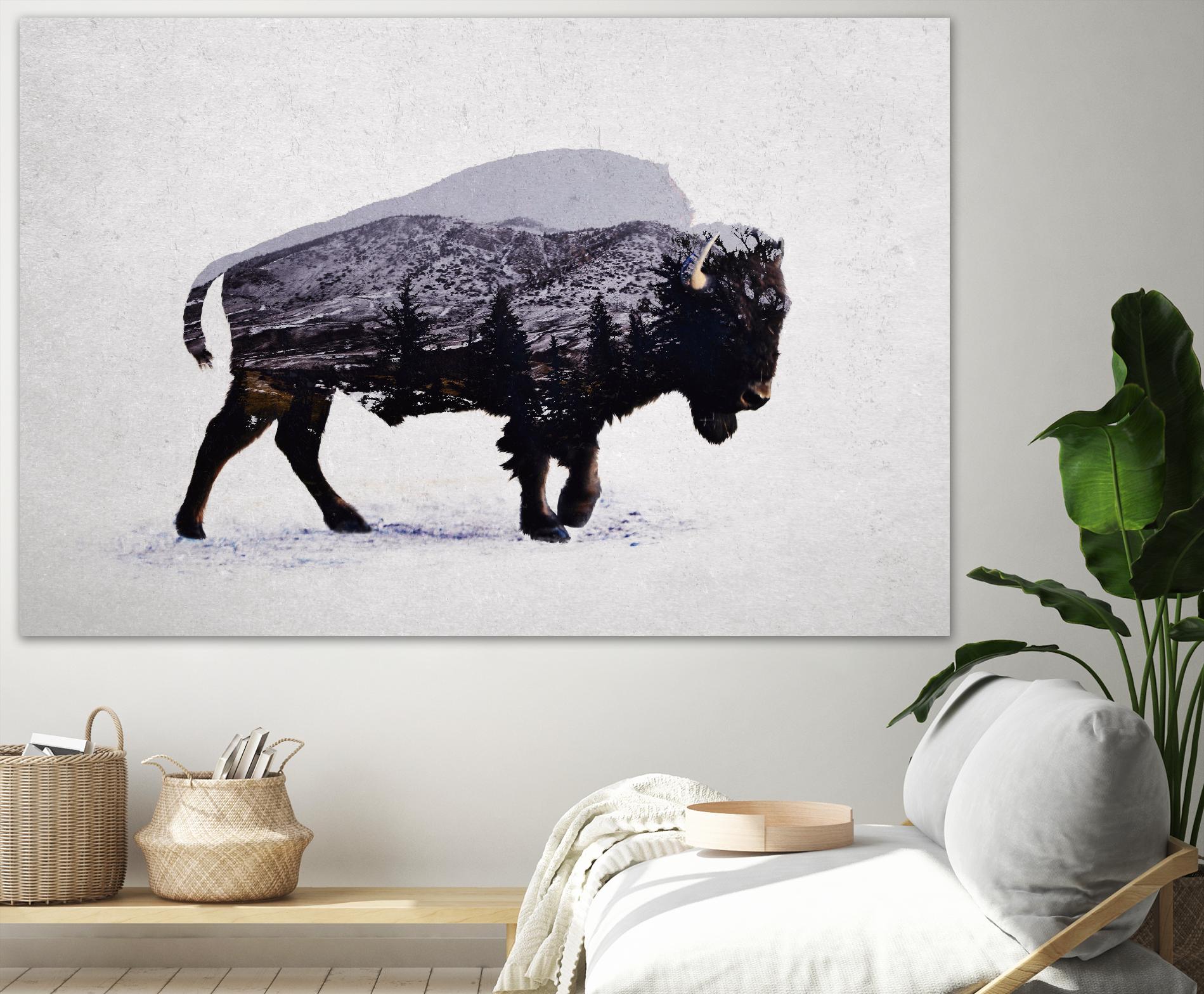 The American Bison by Davies Babies on GIANT ART - white animals
