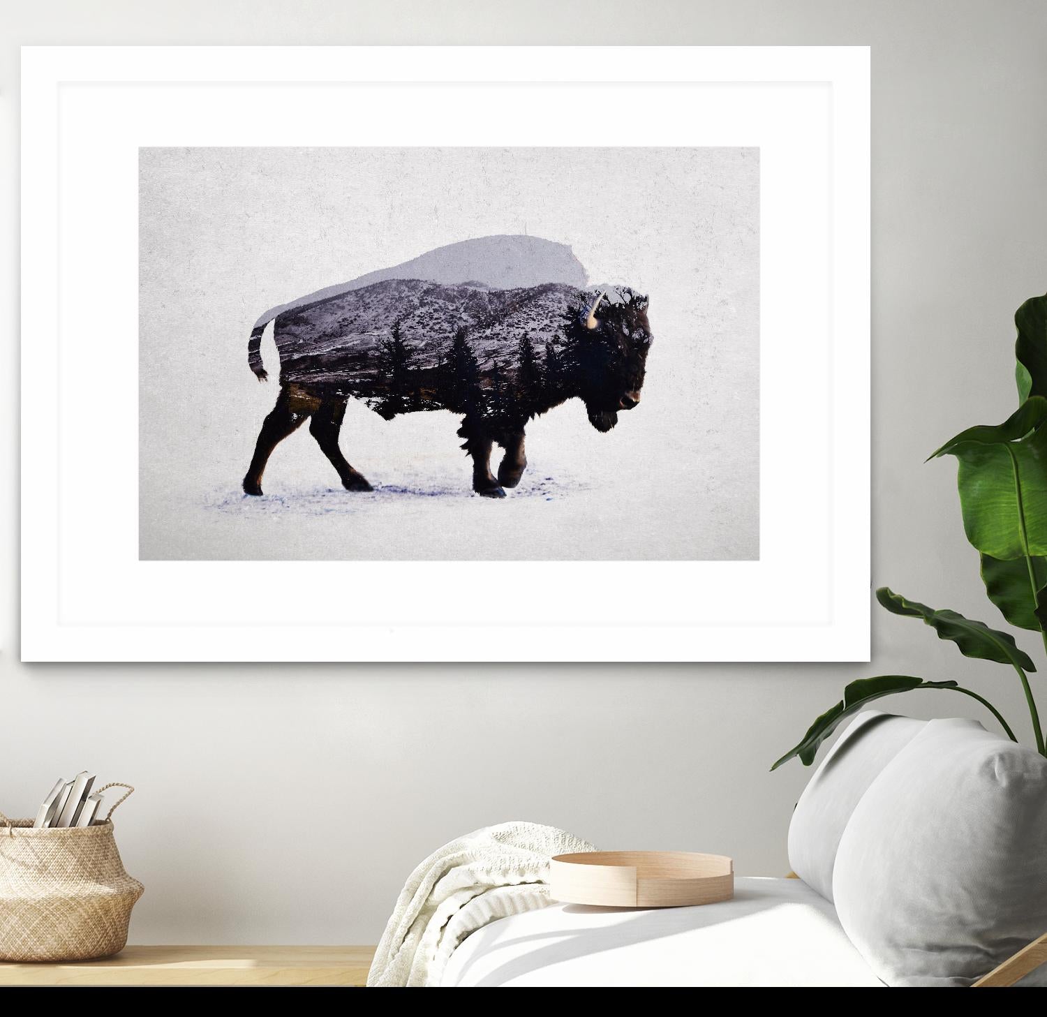 The American Bison by Davies Babies on GIANT ART - white animals