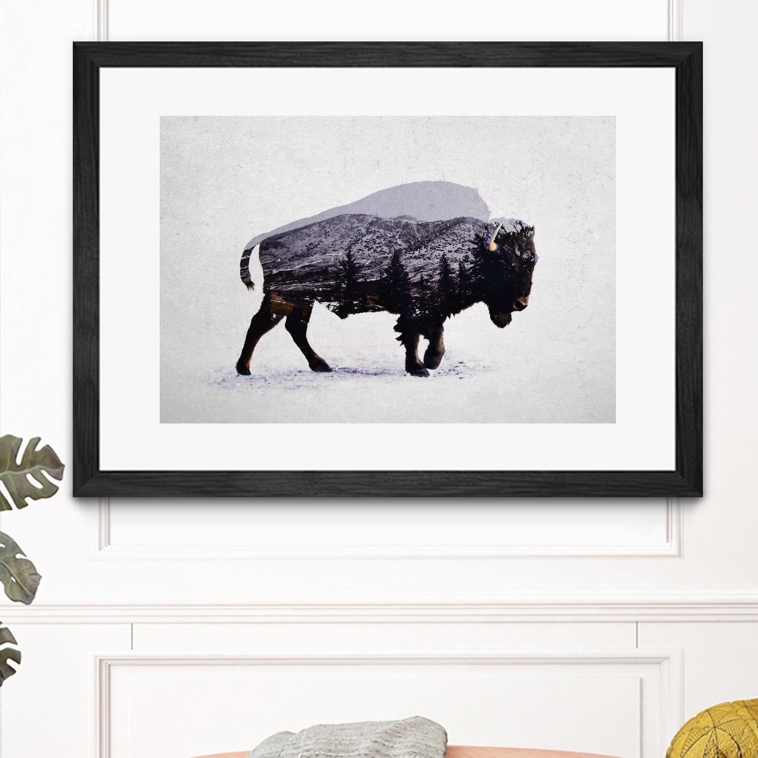 The American Bison by Davies Babies on GIANT ART - white animals