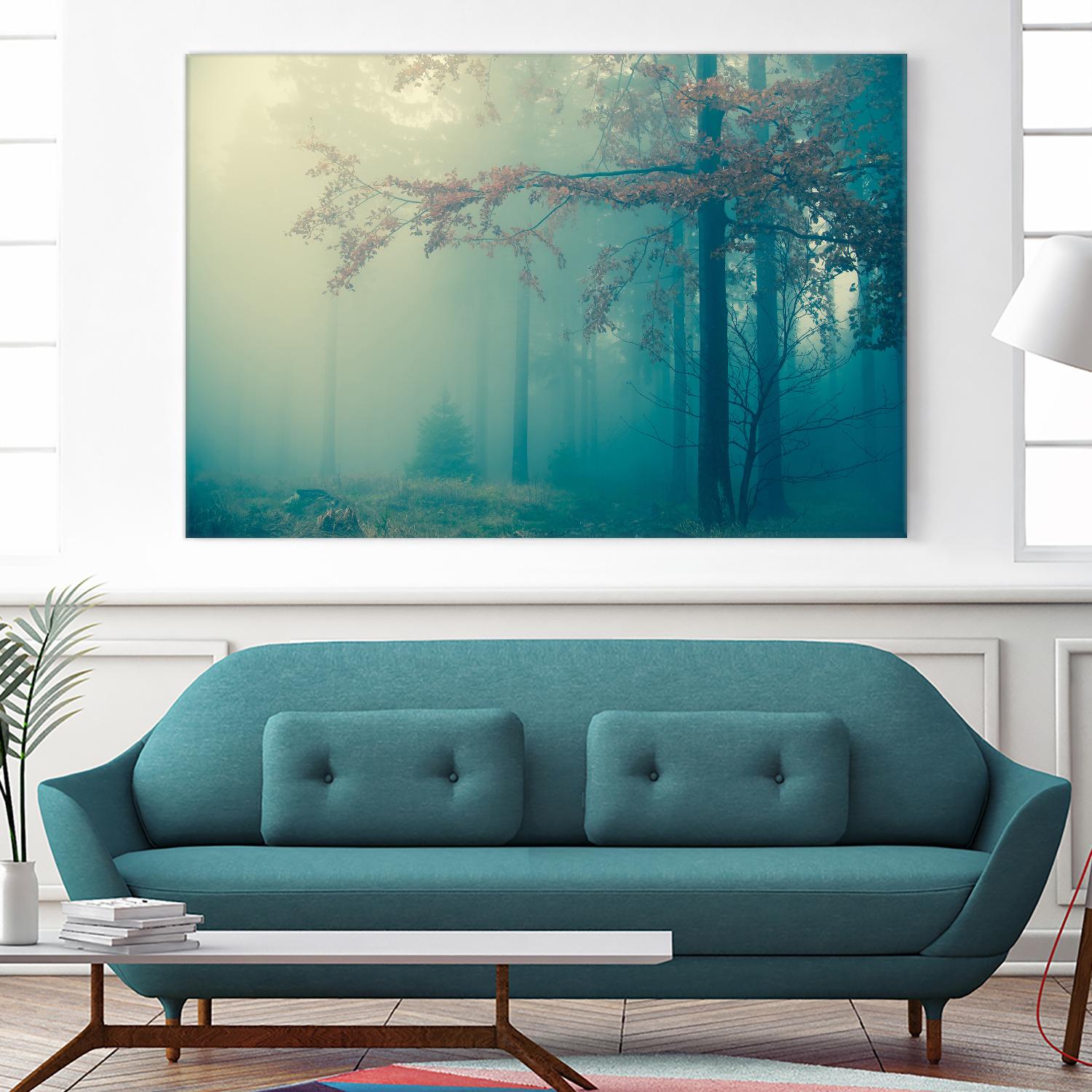 Woods by PhotoINC Studio on GIANT ART - multicolor photography; landscapes